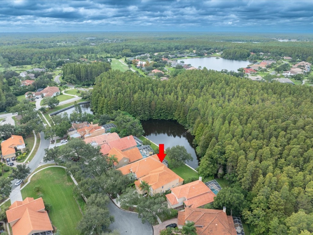 18810 Place Antibes Lutz FL 33558 TB8437632 image5