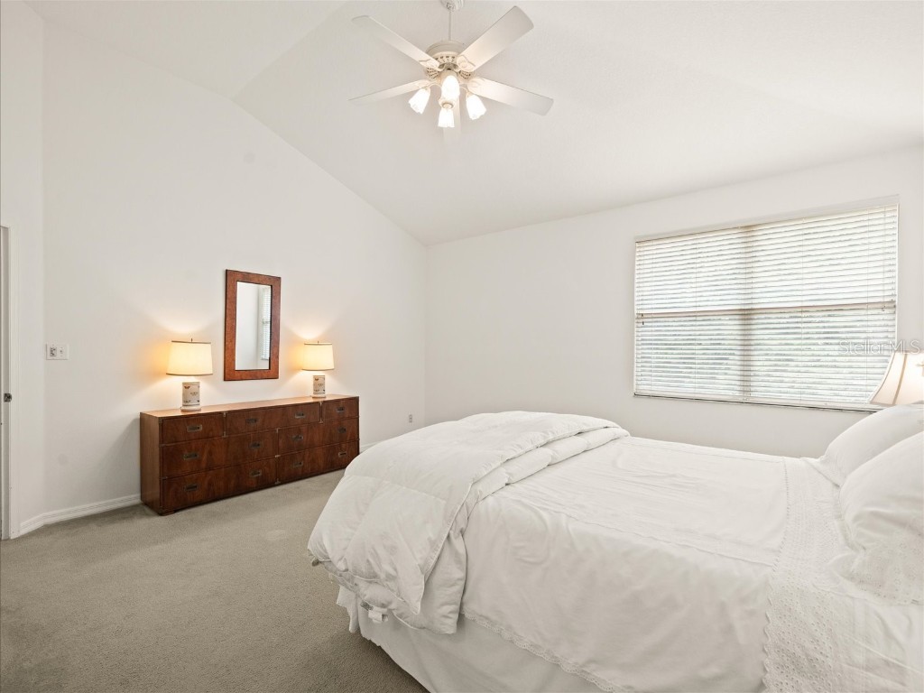 18810 Place Antibes Lutz FL 33558 TB8437632 image50