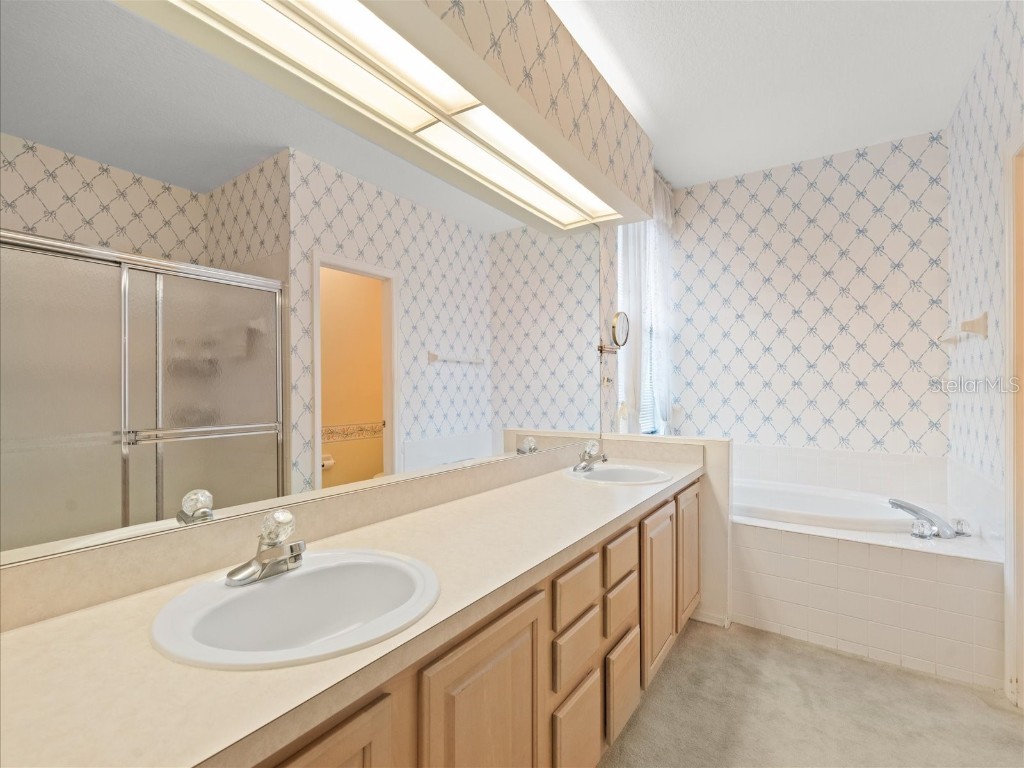 18810 Place Antibes Lutz FL 33558 TB8437632 image51