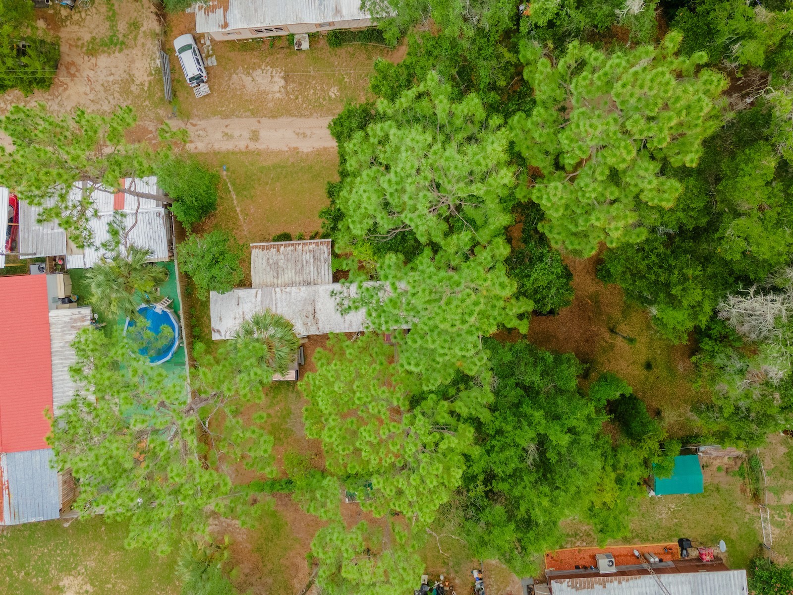 18811 NE 248 Terrace Fort Mc Coy FL 32134 OM726957 image30