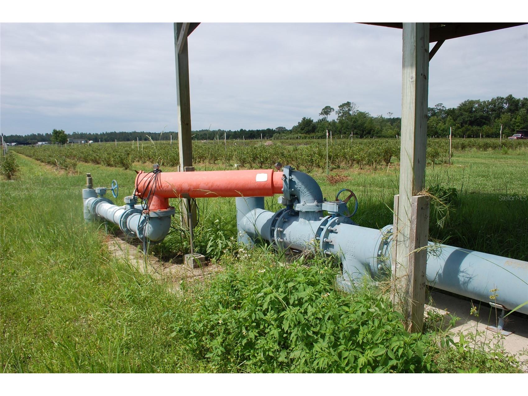 18811 SE 243rd Street Hawthorne FL 32640 GC538407 image11