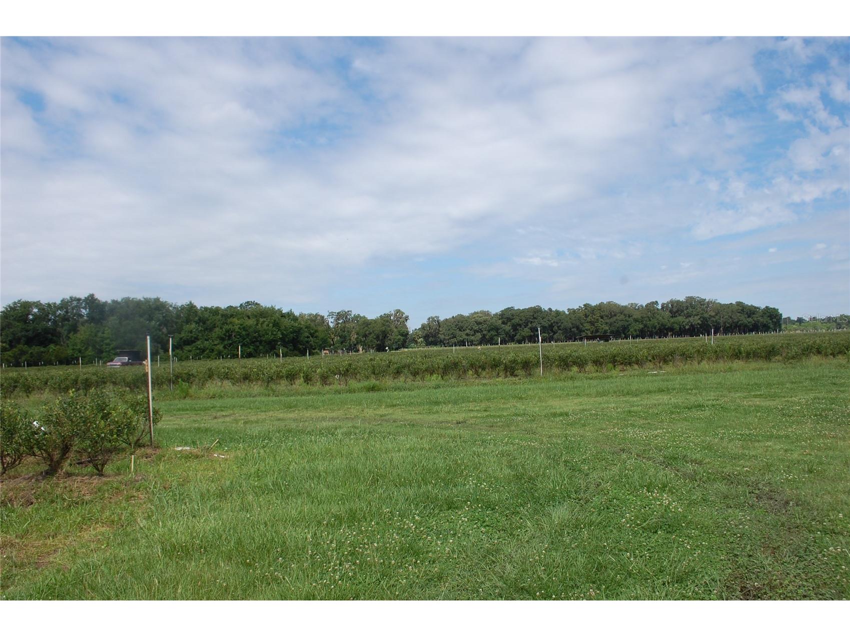 18811 SE 243rd Street Hawthorne FL 32640 GC538407 image12