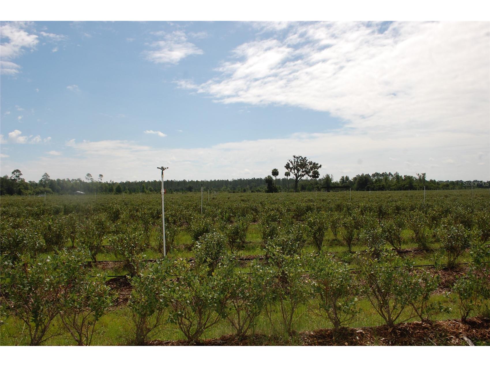 18811 SE 243rd Street Hawthorne FL 32640 GC538407 image17