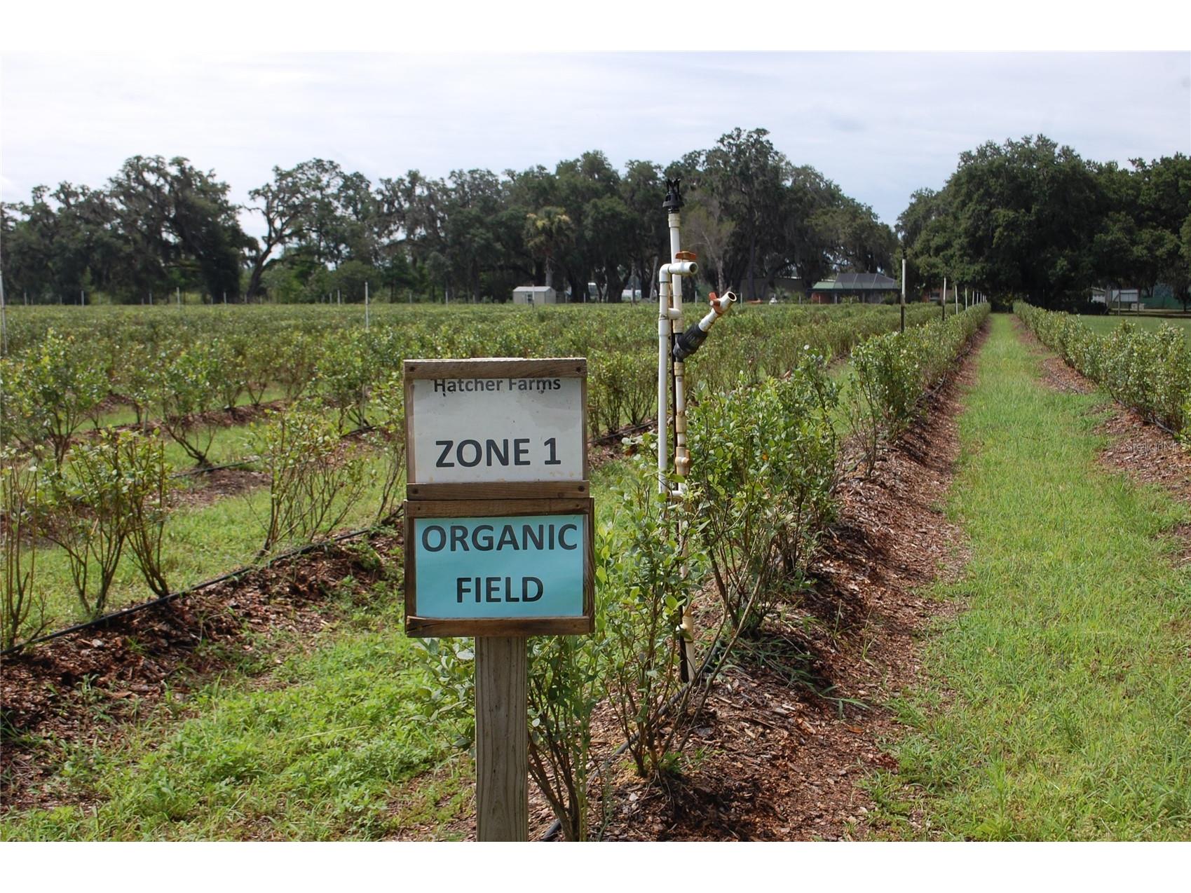 18811 SE 243rd Street Hawthorne FL 32640 GC538407 image19