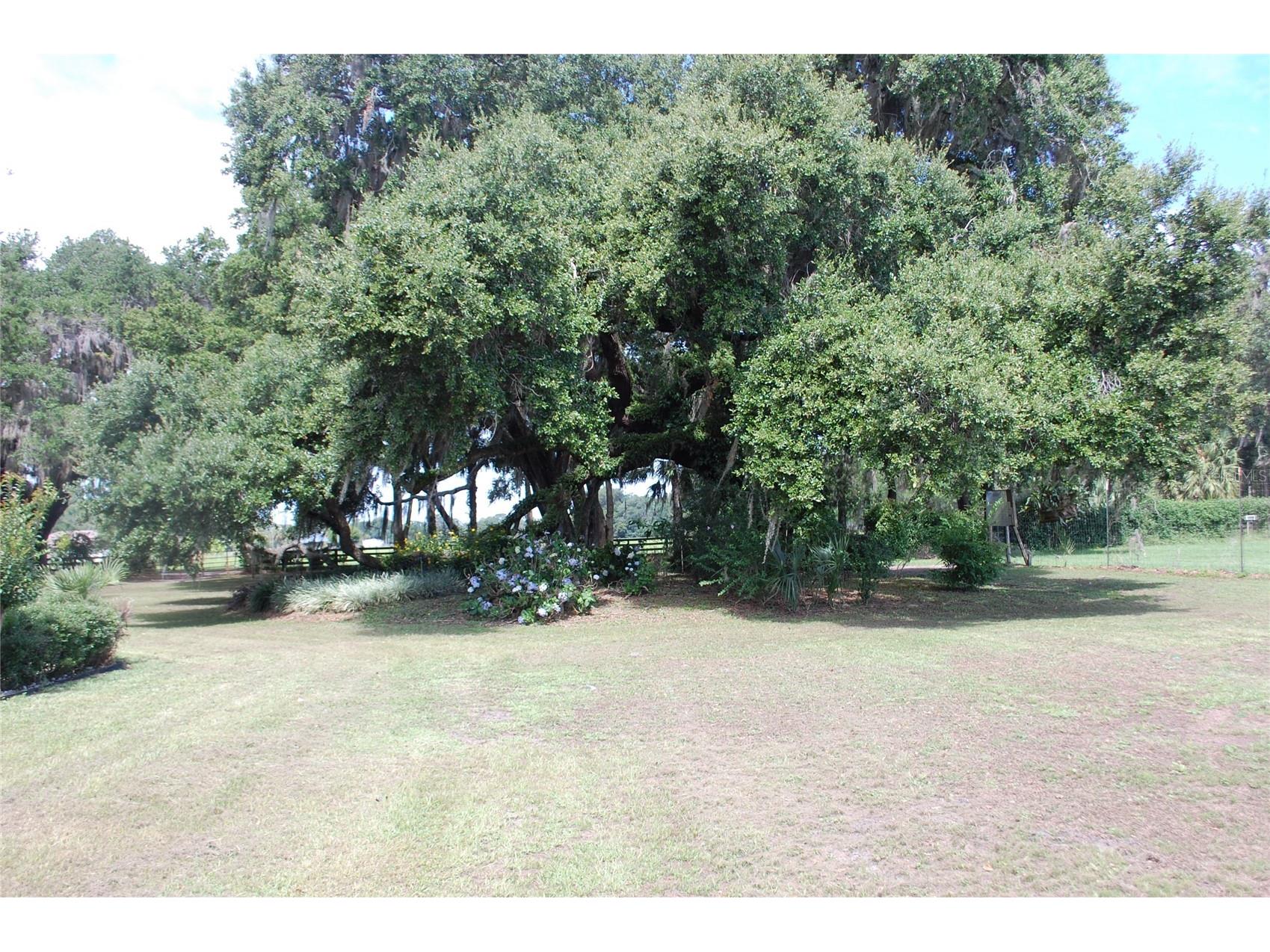 18811 SE 243rd Street Hawthorne FL 32640 GC538407 image2