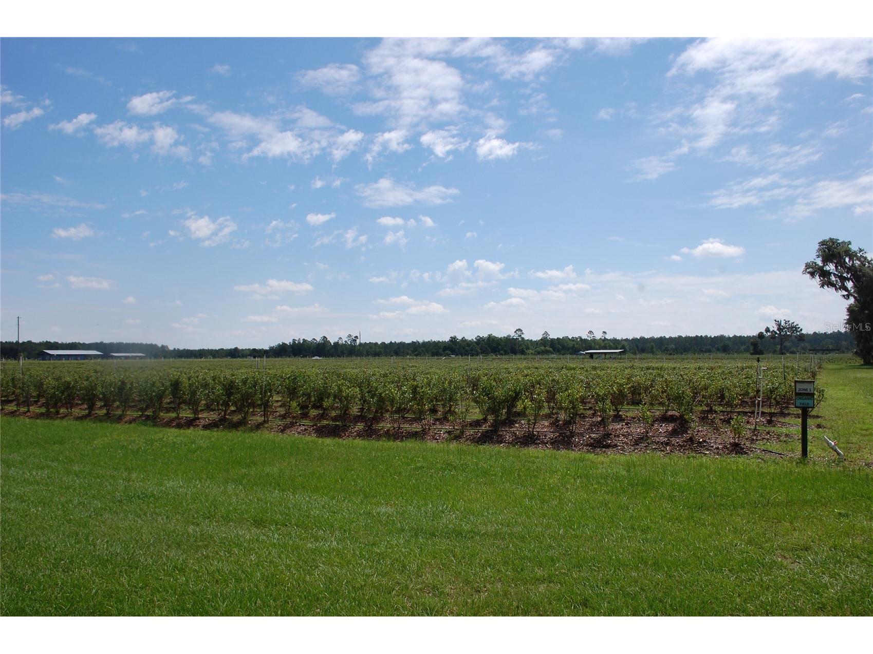 18811 SE 243rd Street Hawthorne FL 32640 GC538407 image22