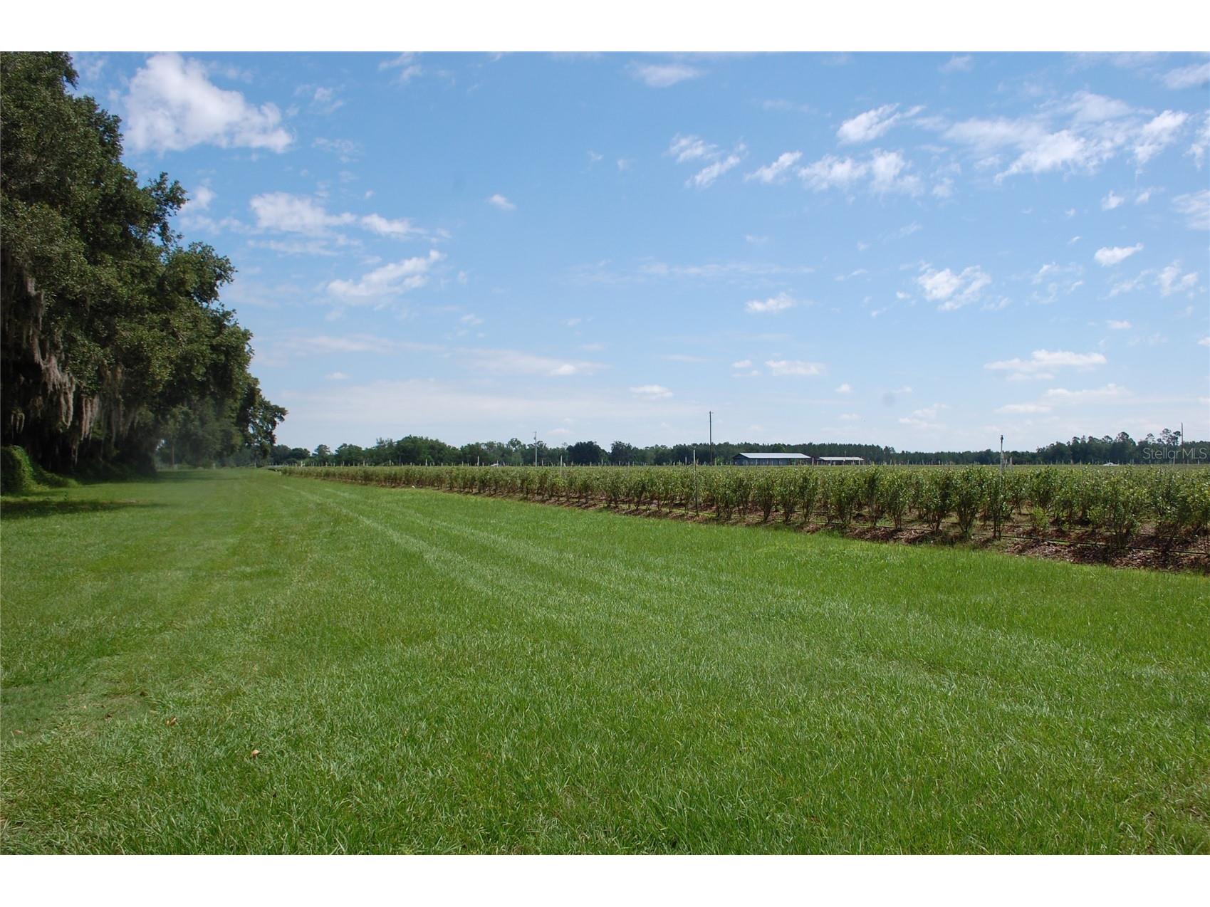 18811 SE 243rd Street Hawthorne FL 32640 GC538407 image23