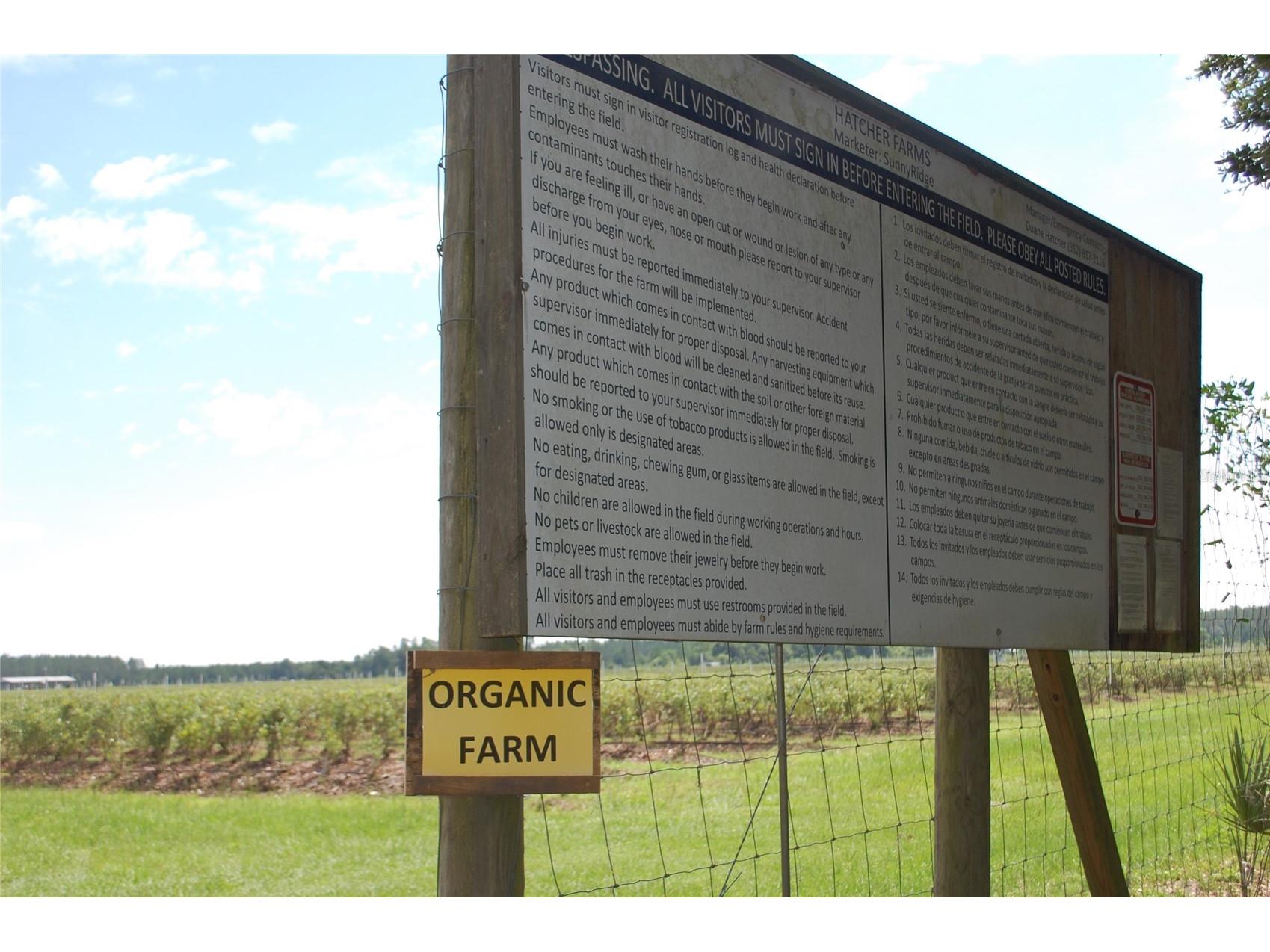 18811 SE 243rd Street Hawthorne FL 32640 GC538407 image26