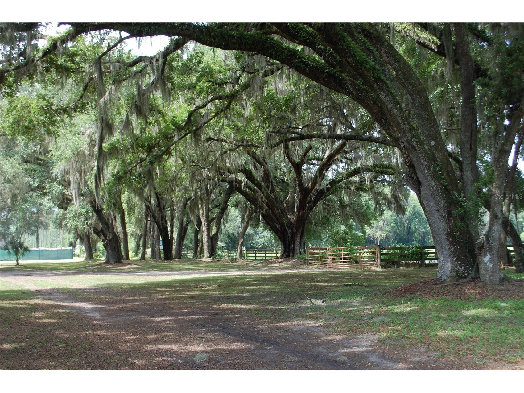 18811 SE 243rd Street Hawthorne FL 32640 GC538407 image27