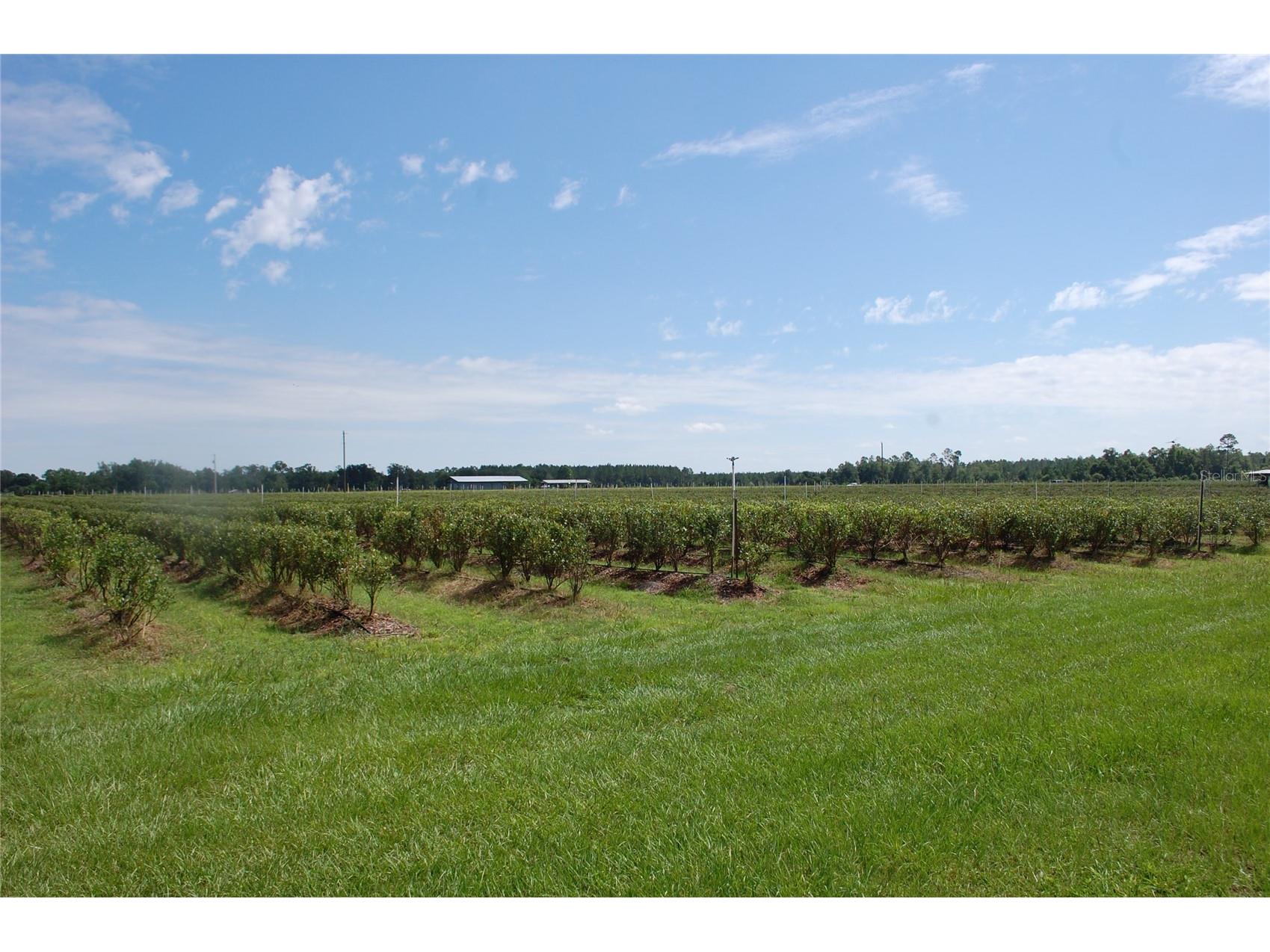 18811 SE 243rd Street Hawthorne FL 32640 GC538407 image3