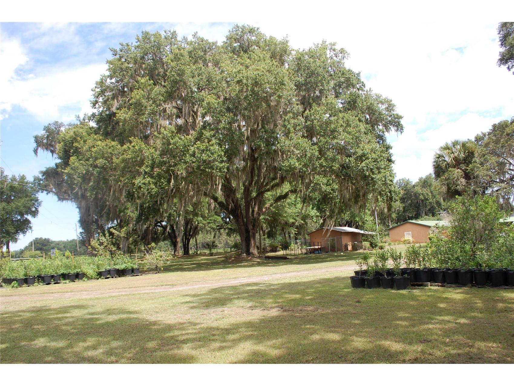 18811 SE 243rd Street Hawthorne FL 32640 GC538407 image47