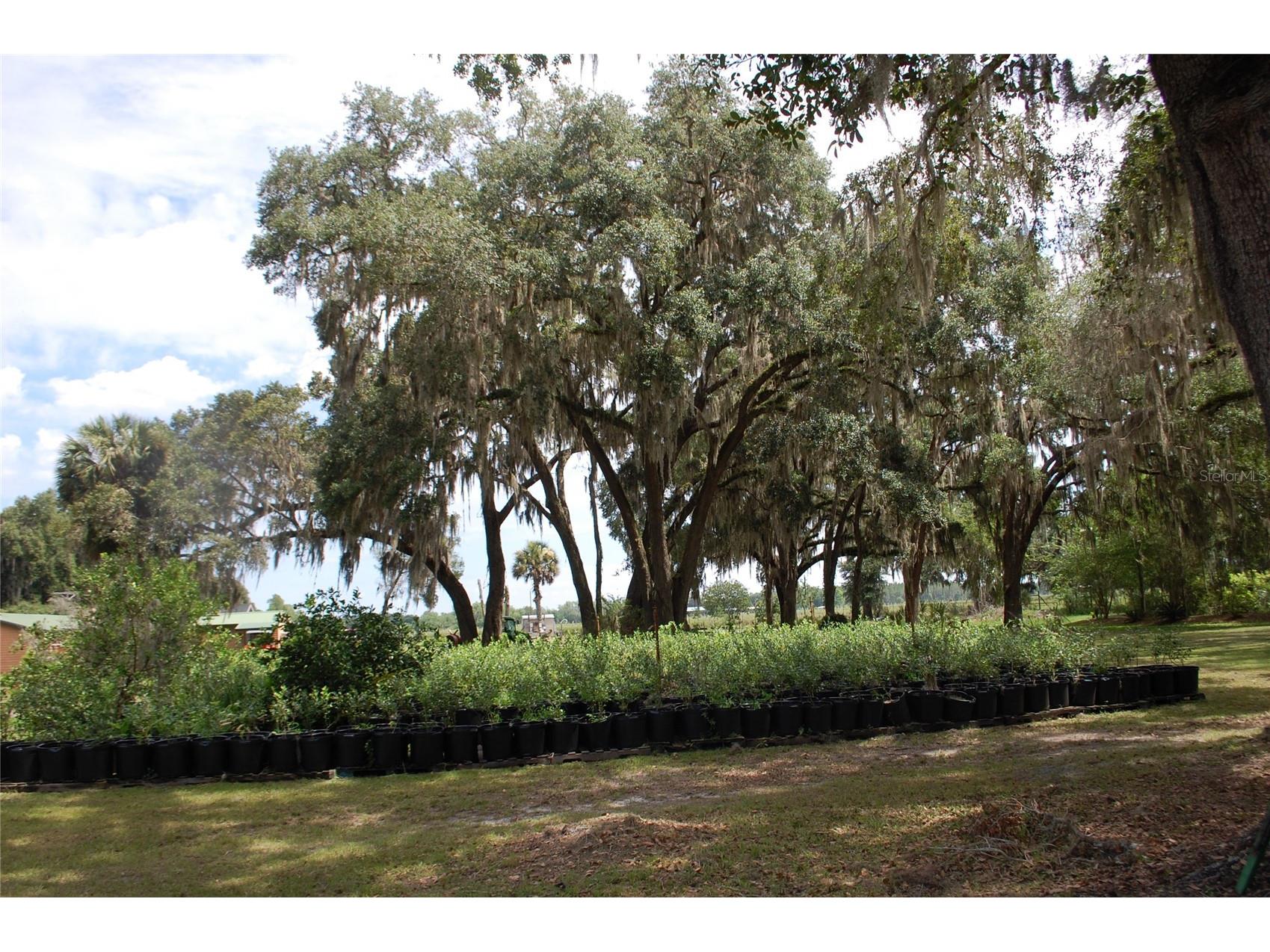 18811 SE 243rd Street Hawthorne FL 32640 GC538407 image48