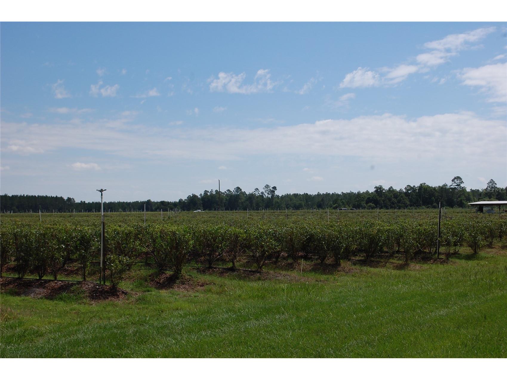 18811 SE 243rd Street Hawthorne FL 32640 GC538407 image5