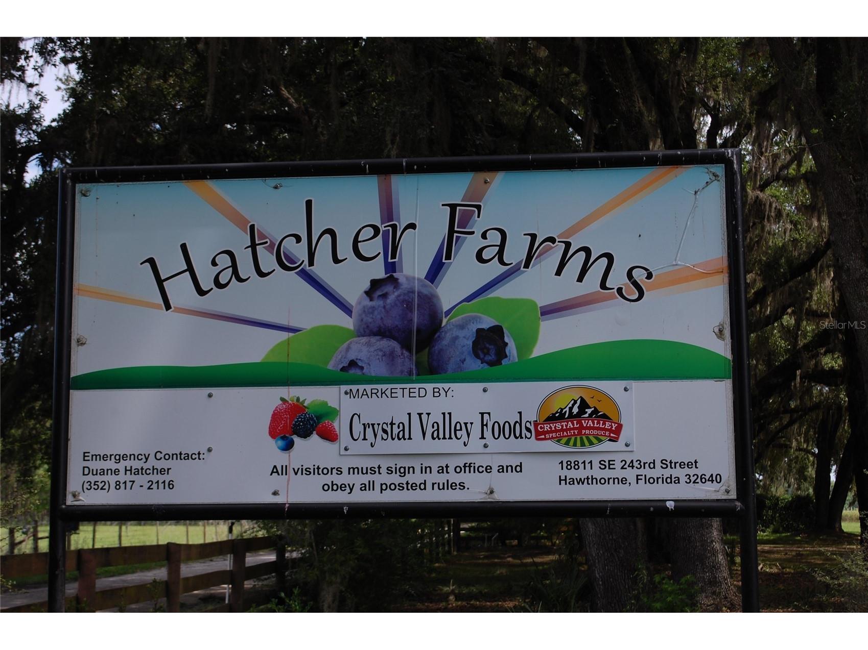 18811 SE 243rd Street Hawthorne FL 32640 GC538407 image50