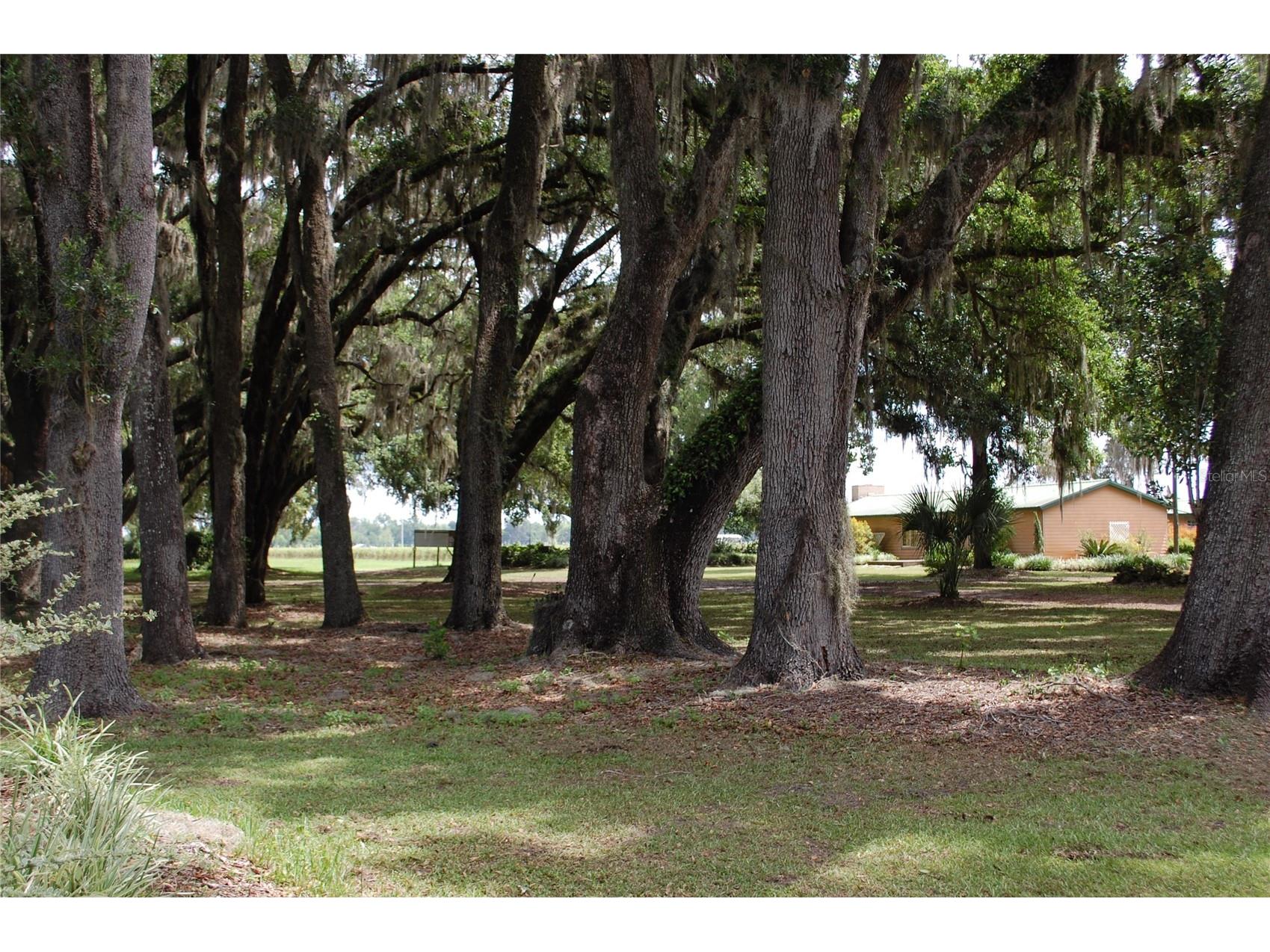 18811 SE 243rd Street Hawthorne FL 32640 GC538407 image51