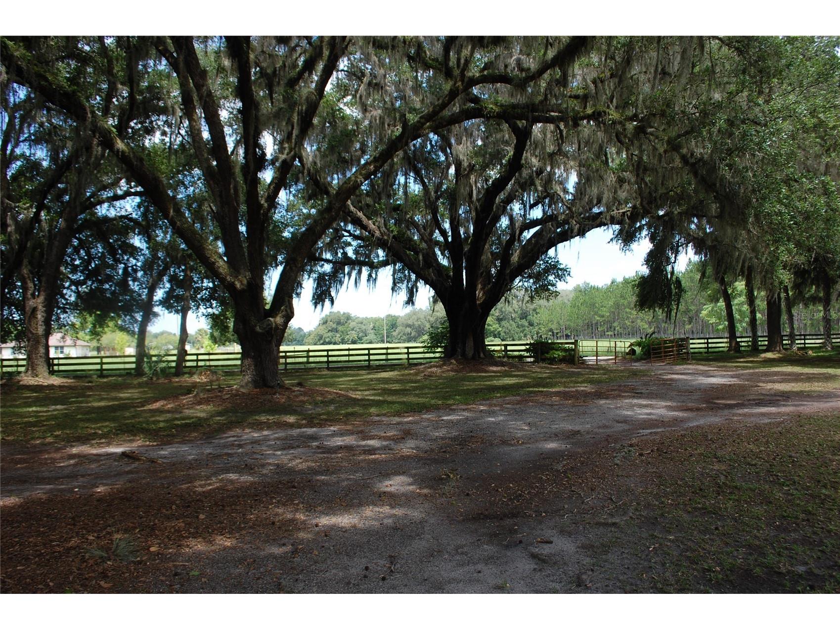 18811 SE 243rd Street Hawthorne FL 32640 GC538407 image53