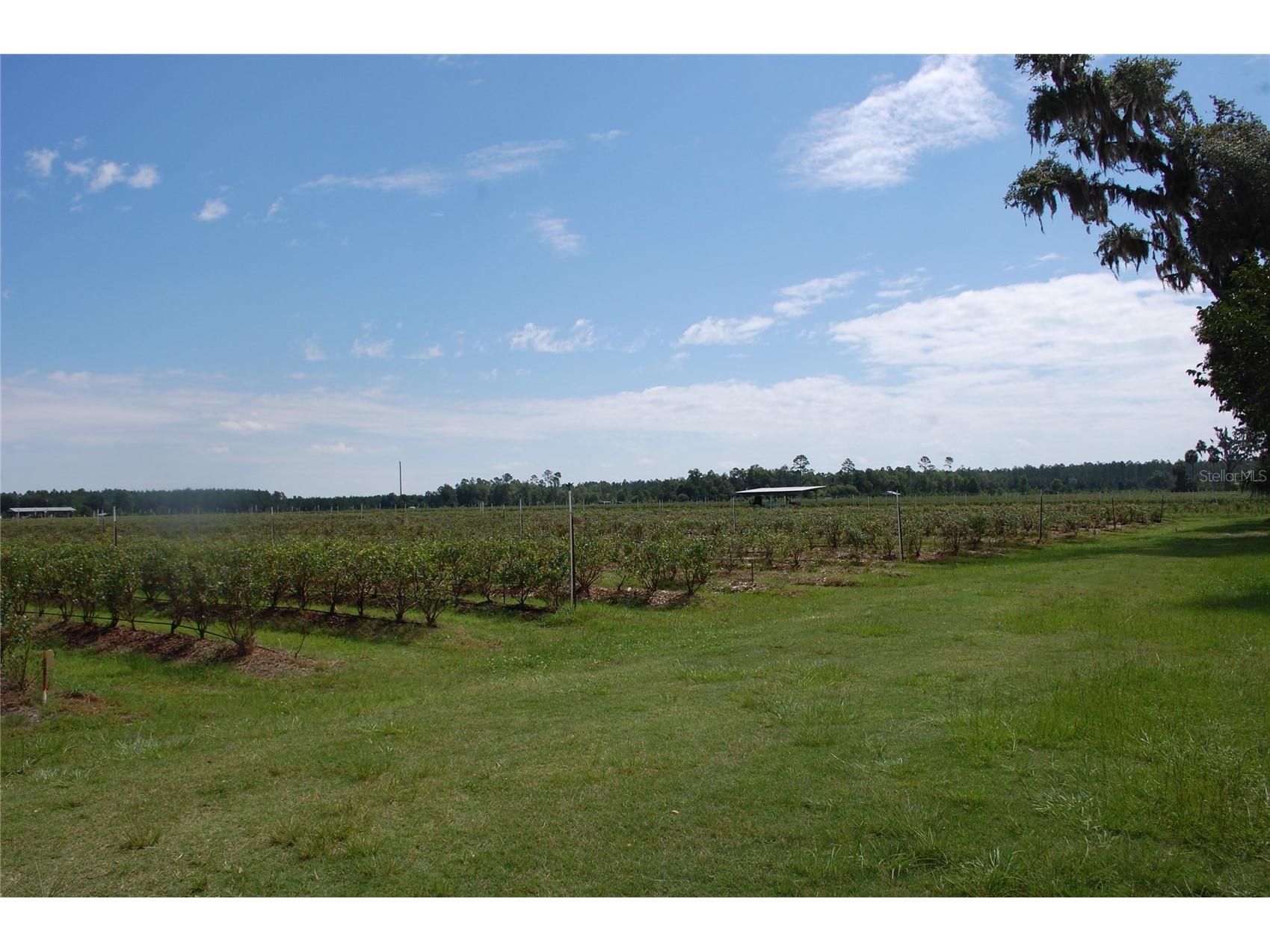 18811 SE 243rd Street Hawthorne FL 32640 GC538407 image6