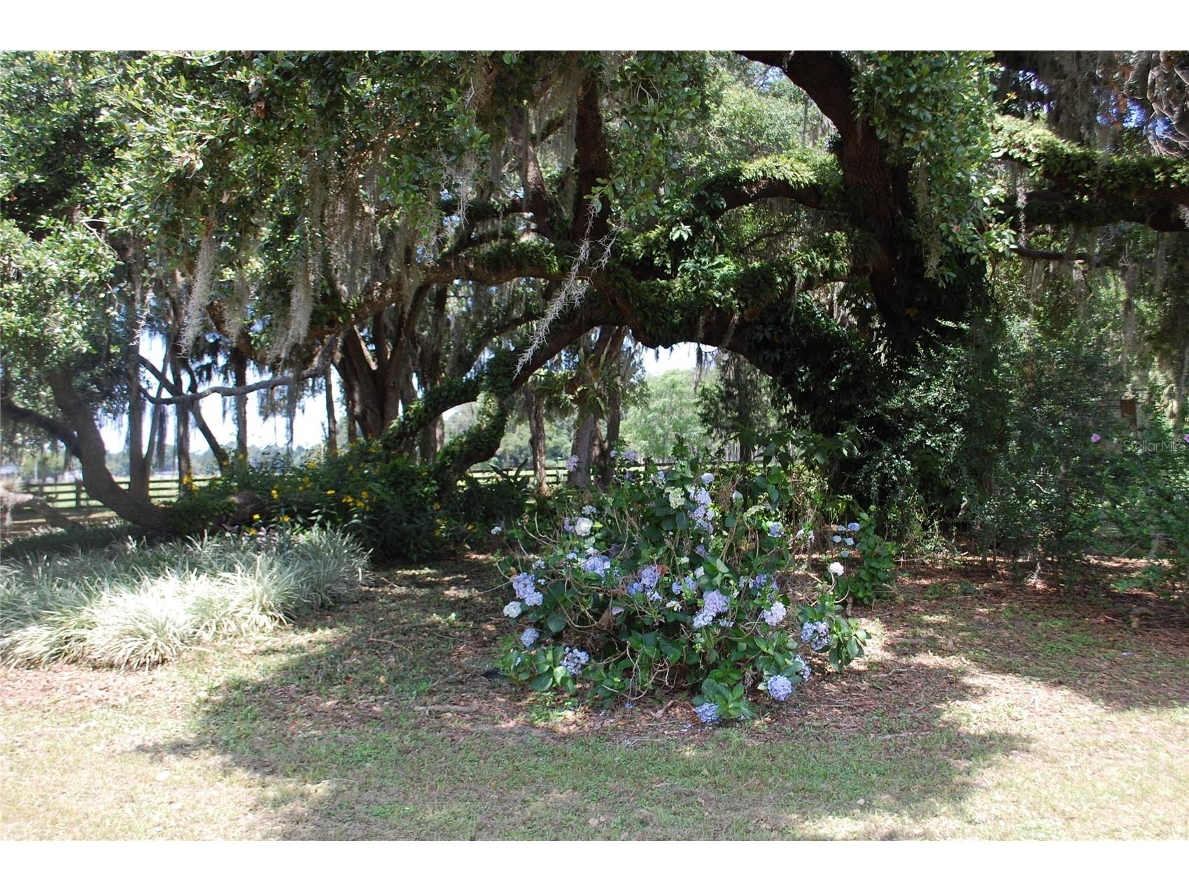 18811 SE 243rd Street Hawthorne FL 32640 GC538407 image68