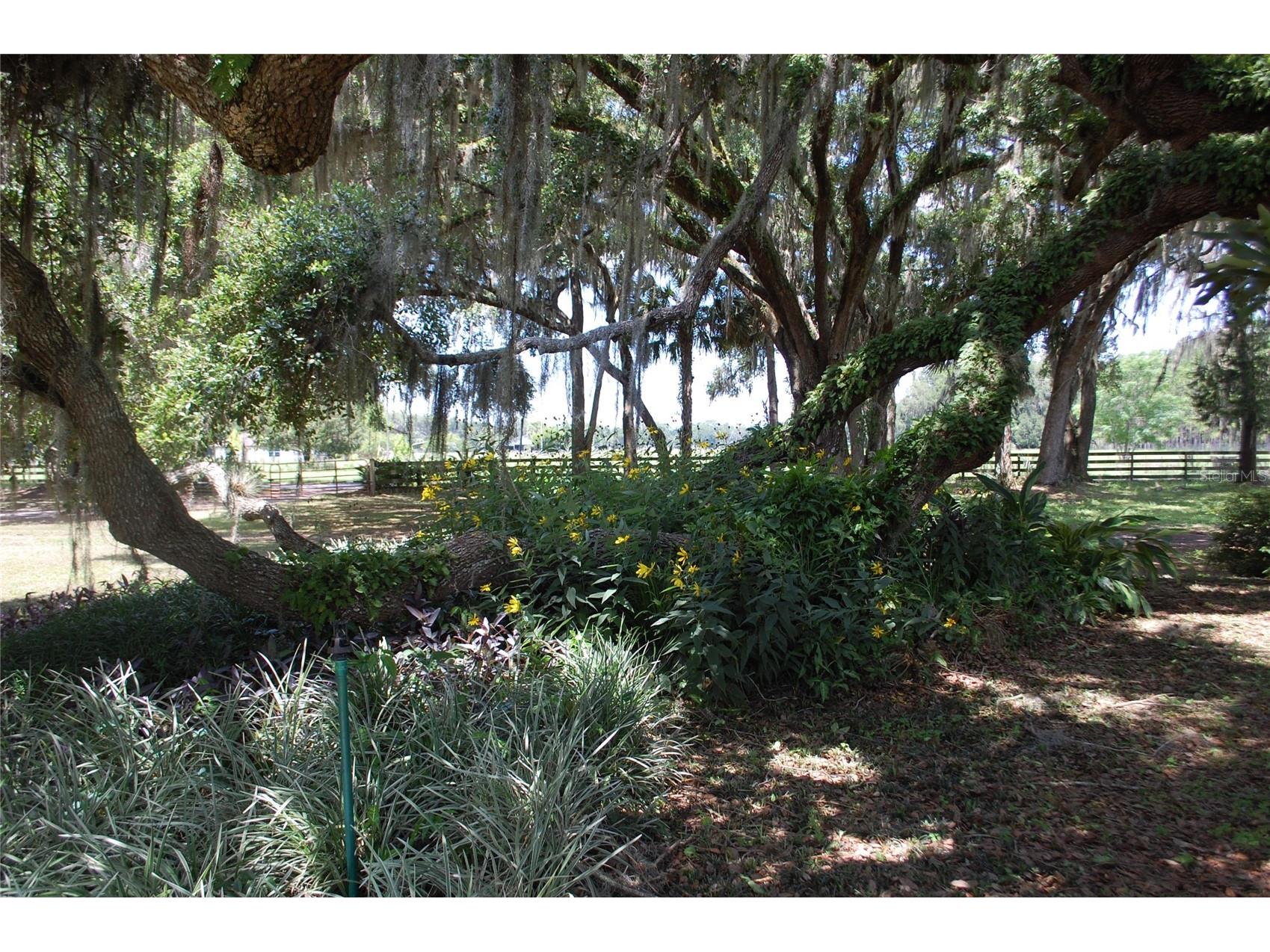 18811 SE 243rd Street Hawthorne FL 32640 GC538407 image69