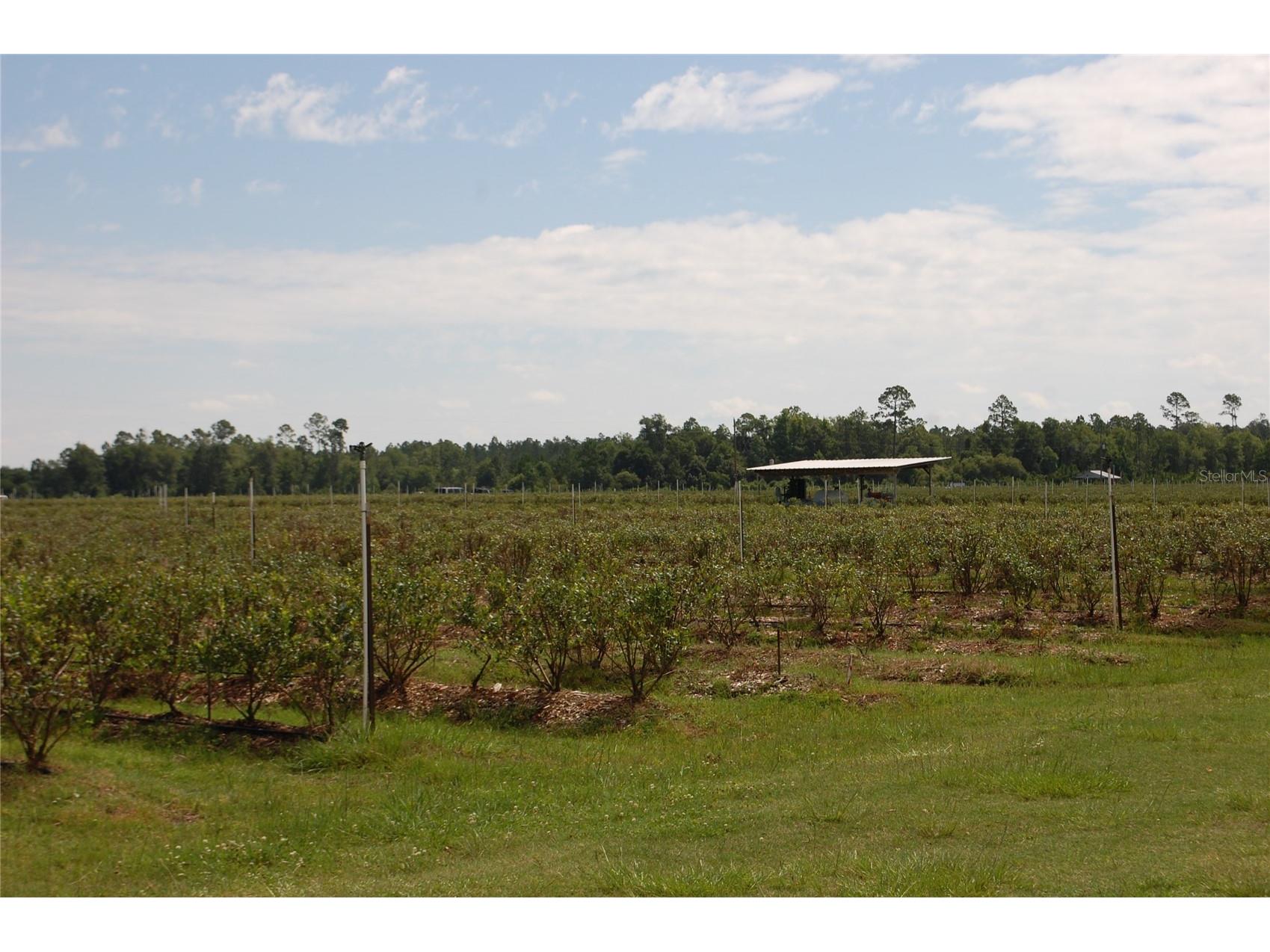 18811 SE 243rd Street Hawthorne FL 32640 GC538407 image7