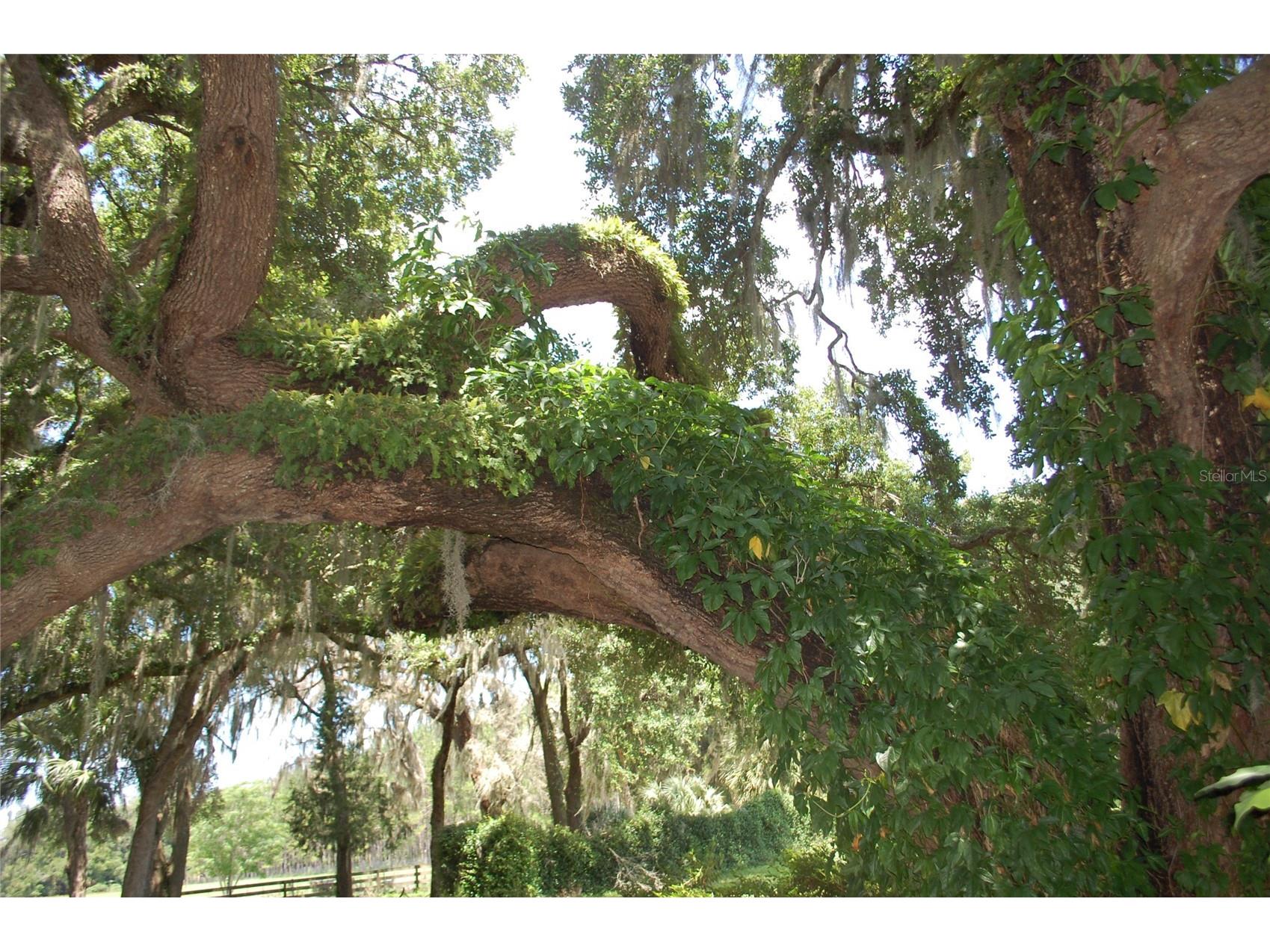 18811 SE 243rd Street Hawthorne FL 32640 GC538407 image70