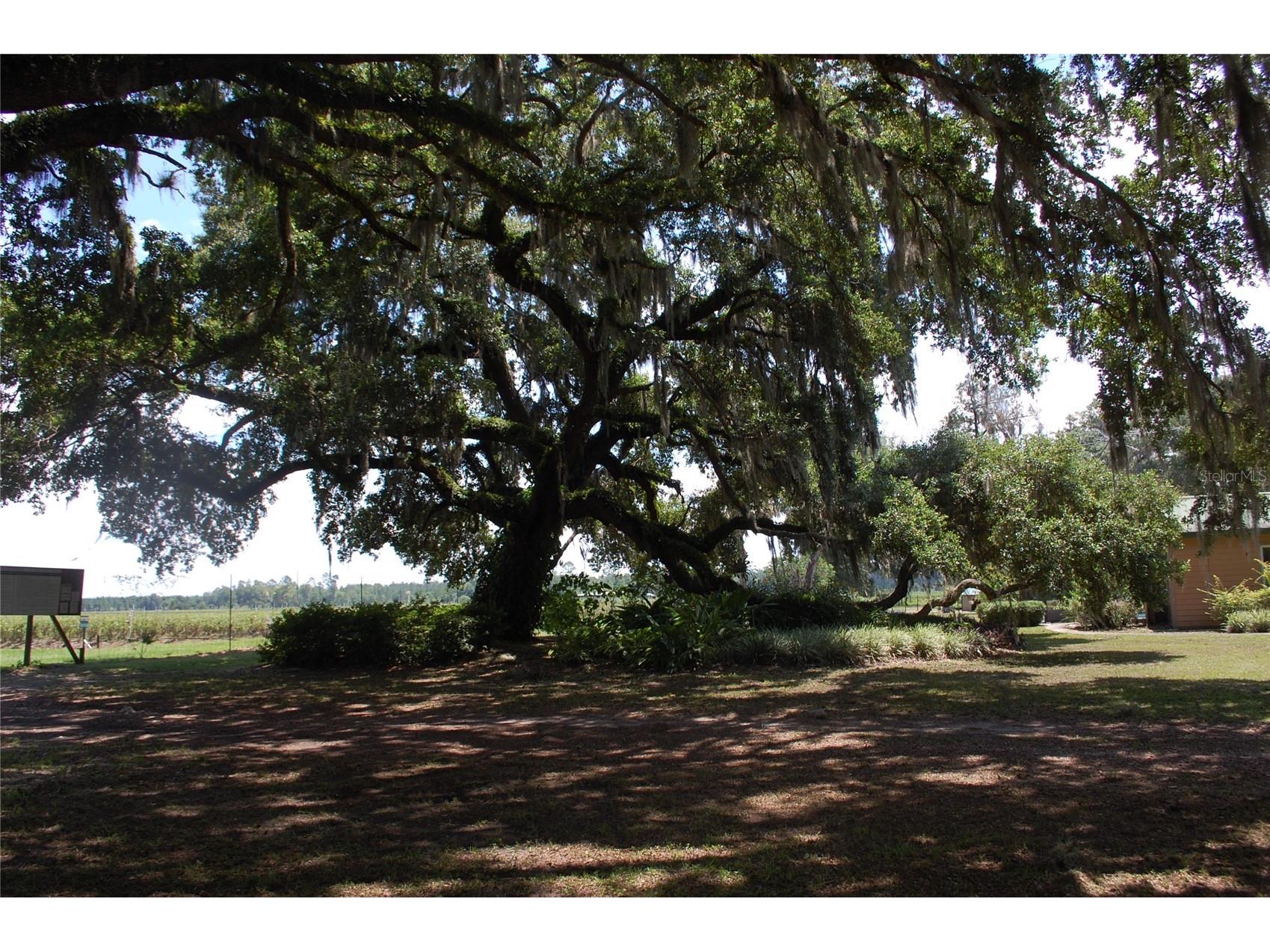 18811 SE 243rd Street Hawthorne FL 32640 GC538407 image77