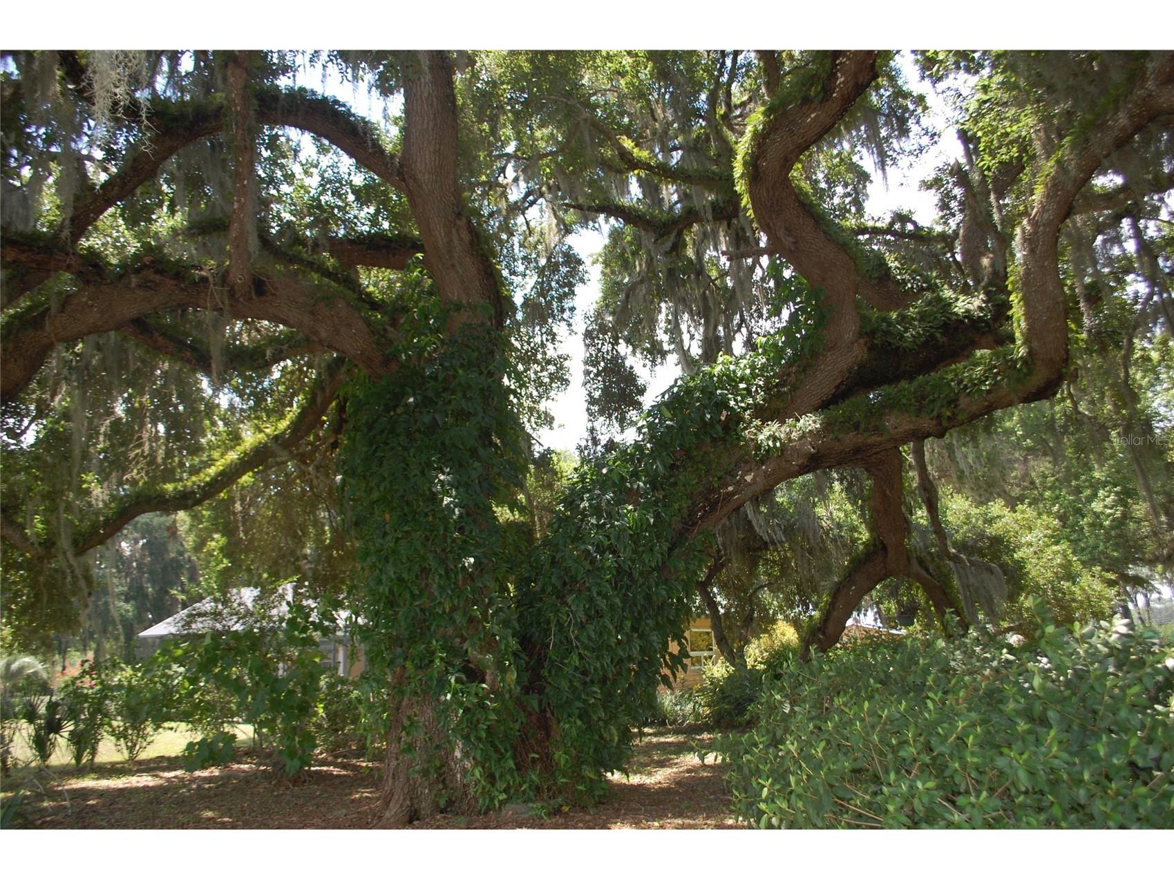 18811 SE 243rd Street Hawthorne FL 32640 GC538407 image78