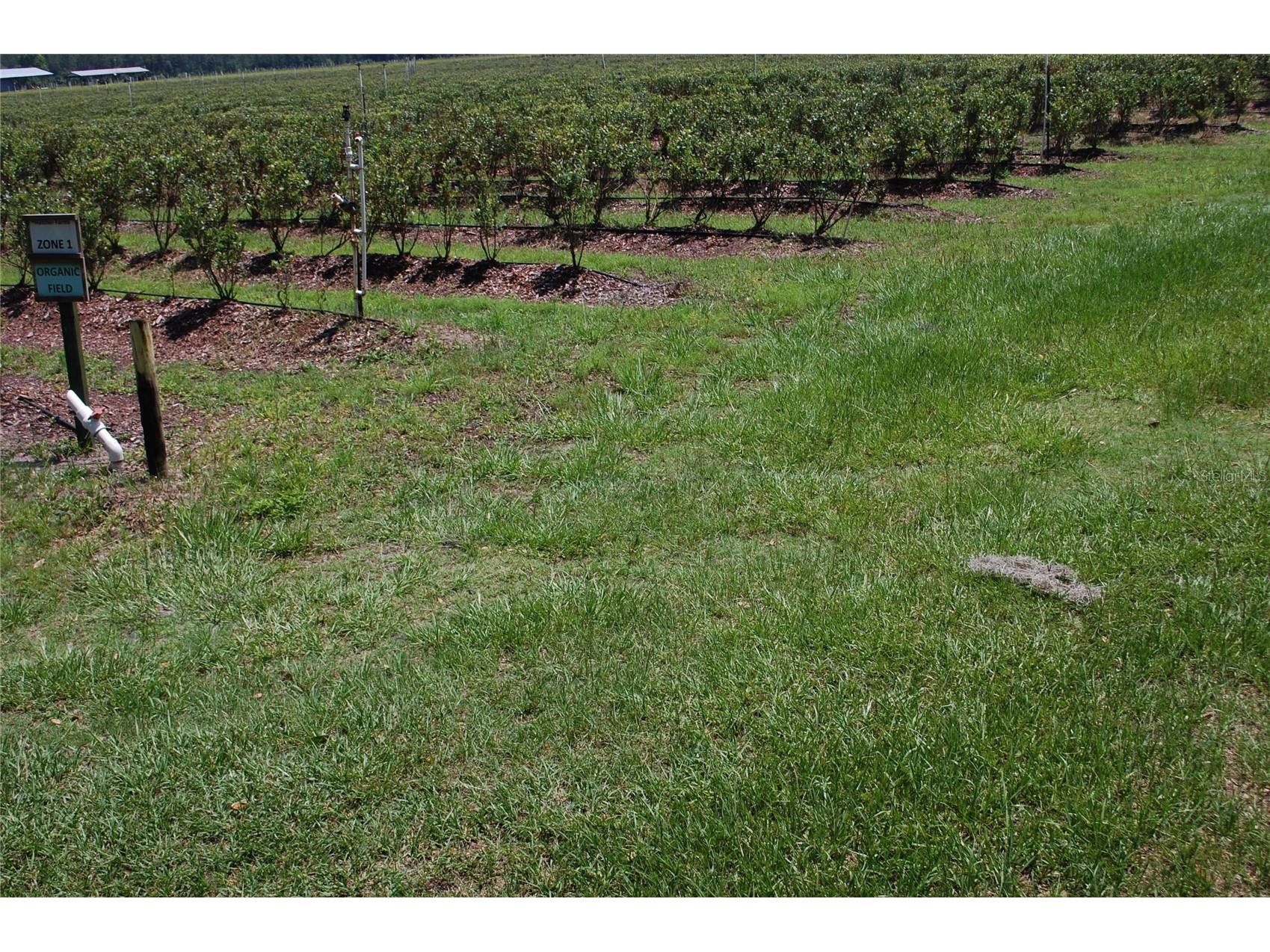 18811 SE 243rd Street Hawthorne FL 32640 GC538407 image80