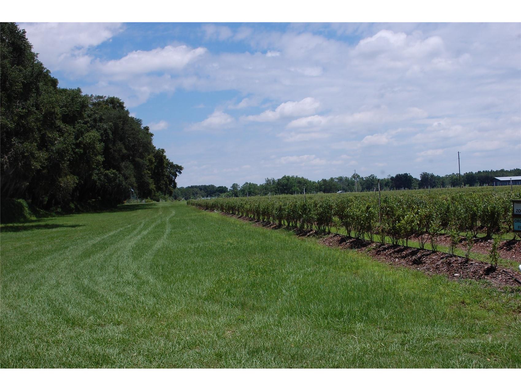 18811 SE 243rd Street Hawthorne FL 32640 GC538407 image81