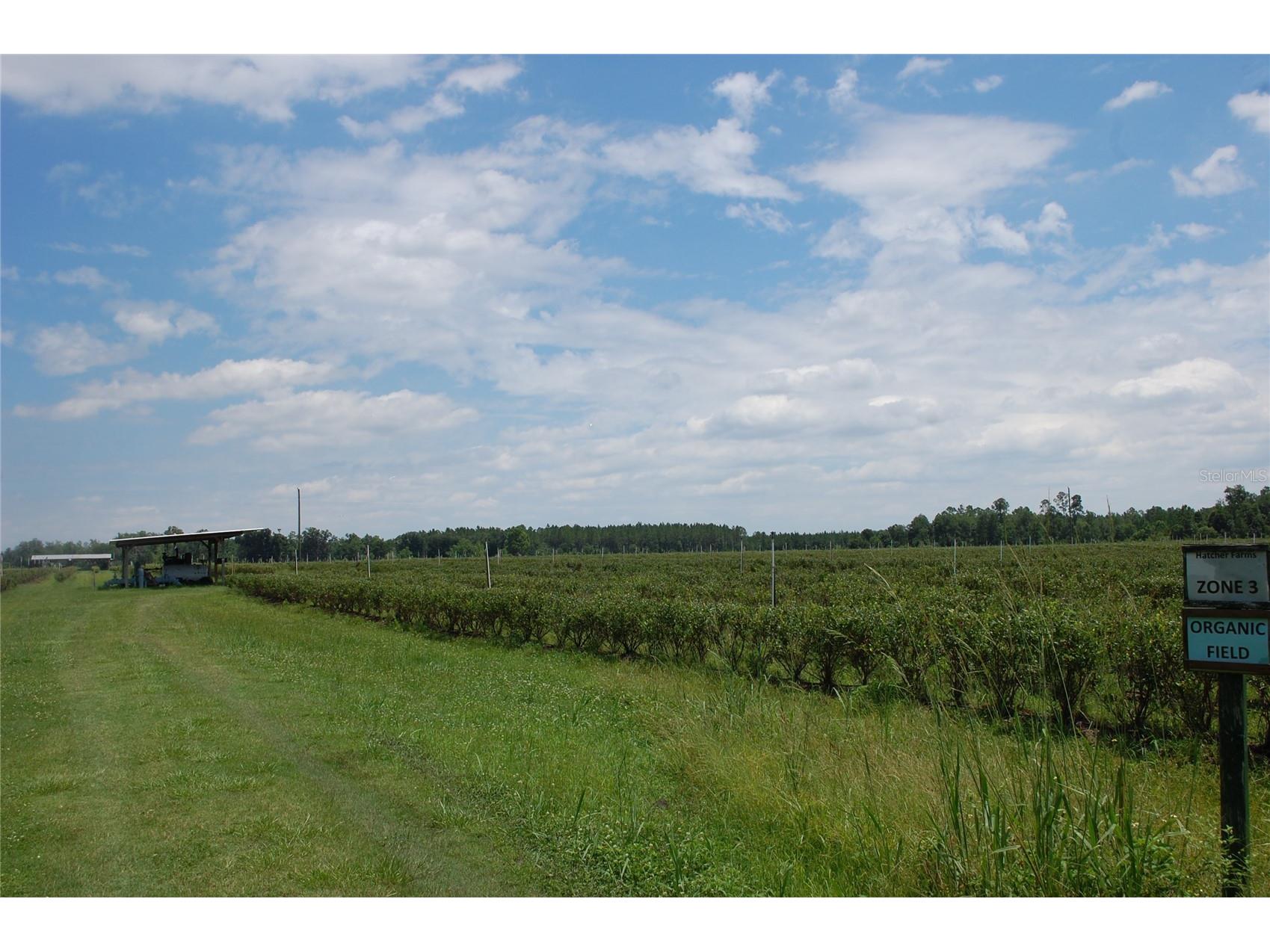 18811 SE 243rd Street Hawthorne FL 32640 GC538407 image83