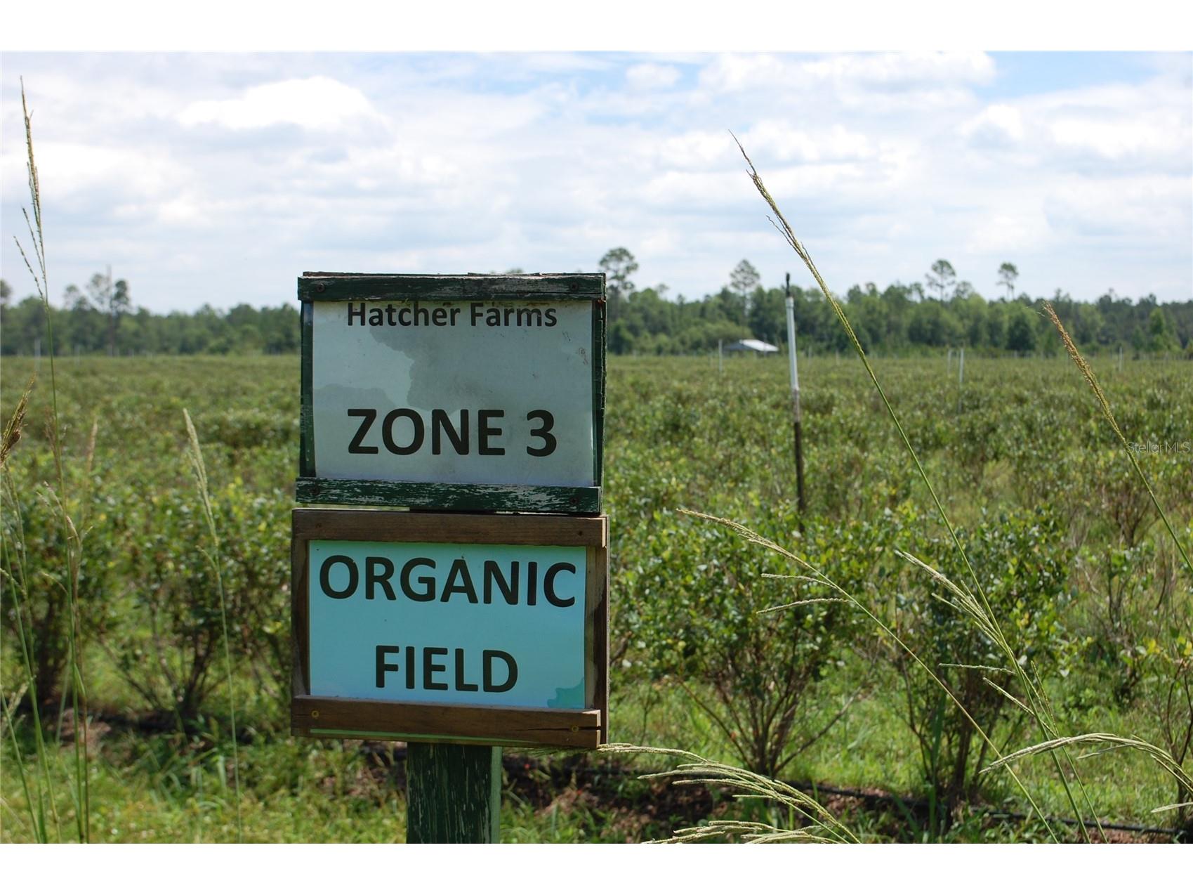 18811 SE 243rd Street Hawthorne FL 32640 GC538407 image84