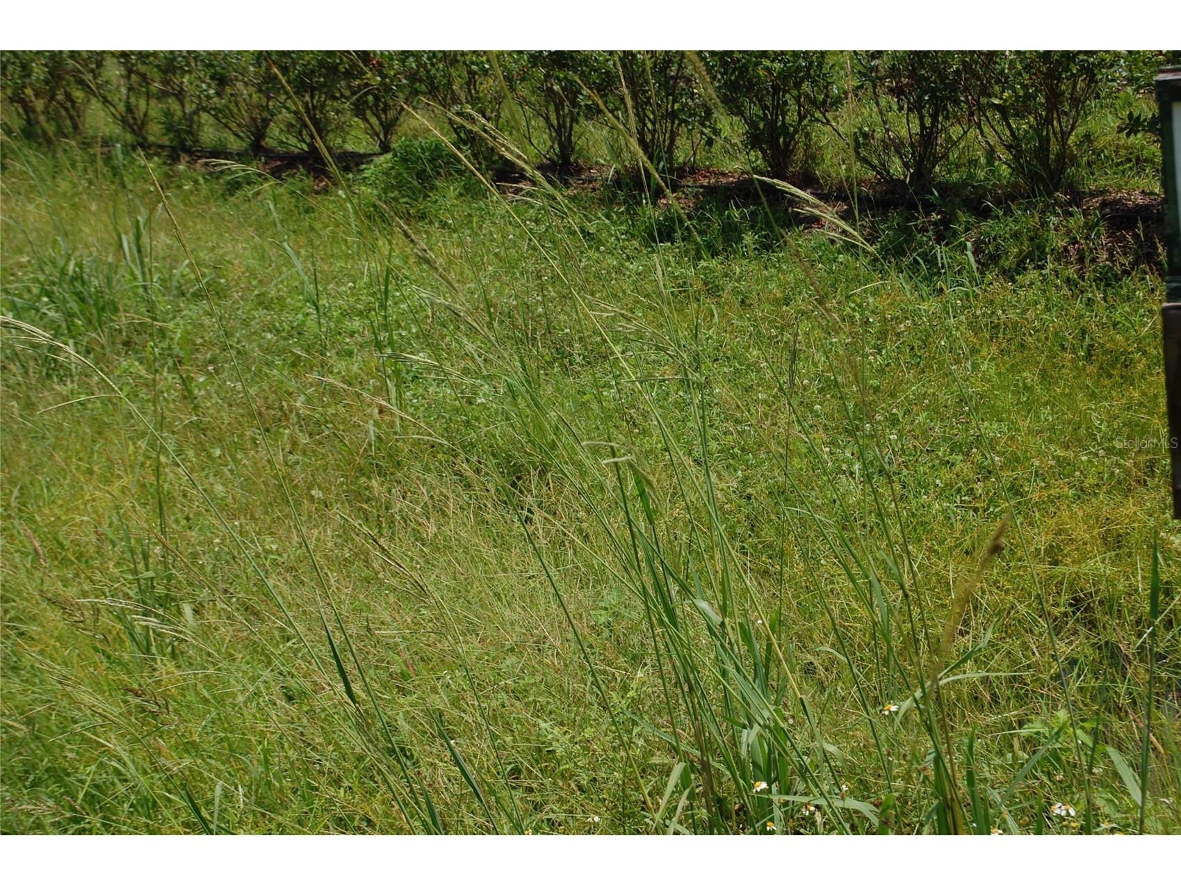 18811 SE 243rd Street Hawthorne FL 32640 GC538407 image85