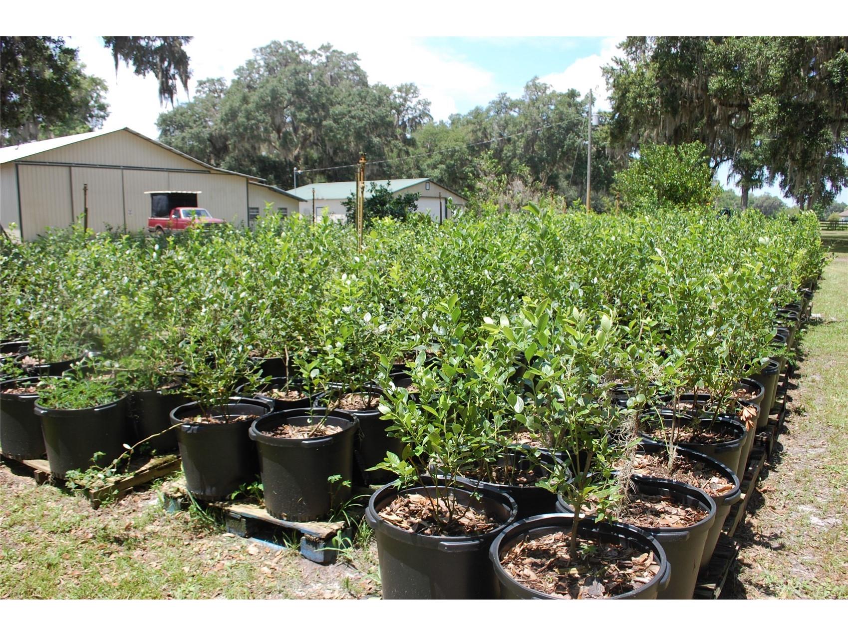 18811 SE 243rd Street Hawthorne FL 32640 GC538407 image87