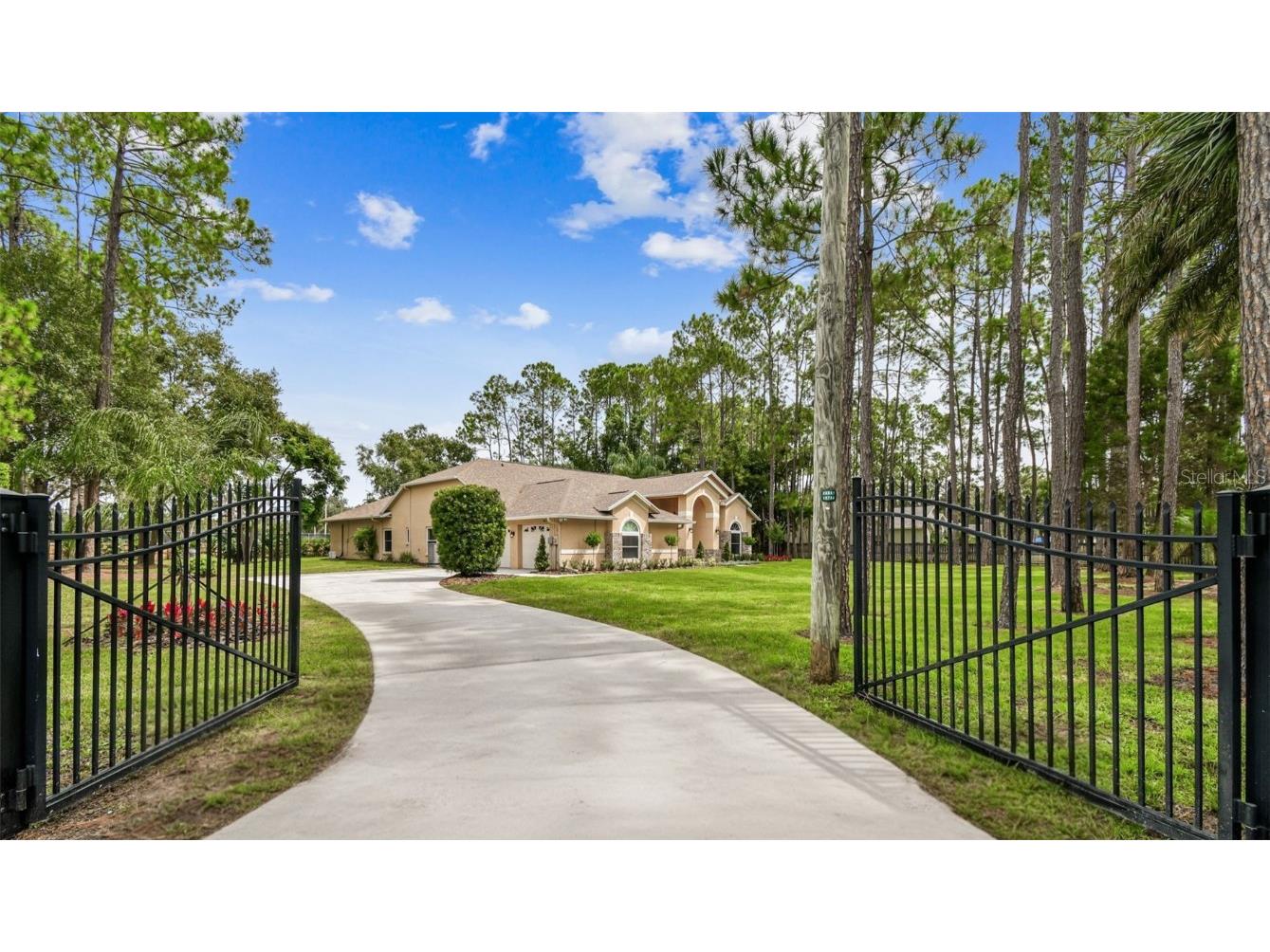 18811 Victor Manuel Drive Lutz FL 33548 TB8429489 image3