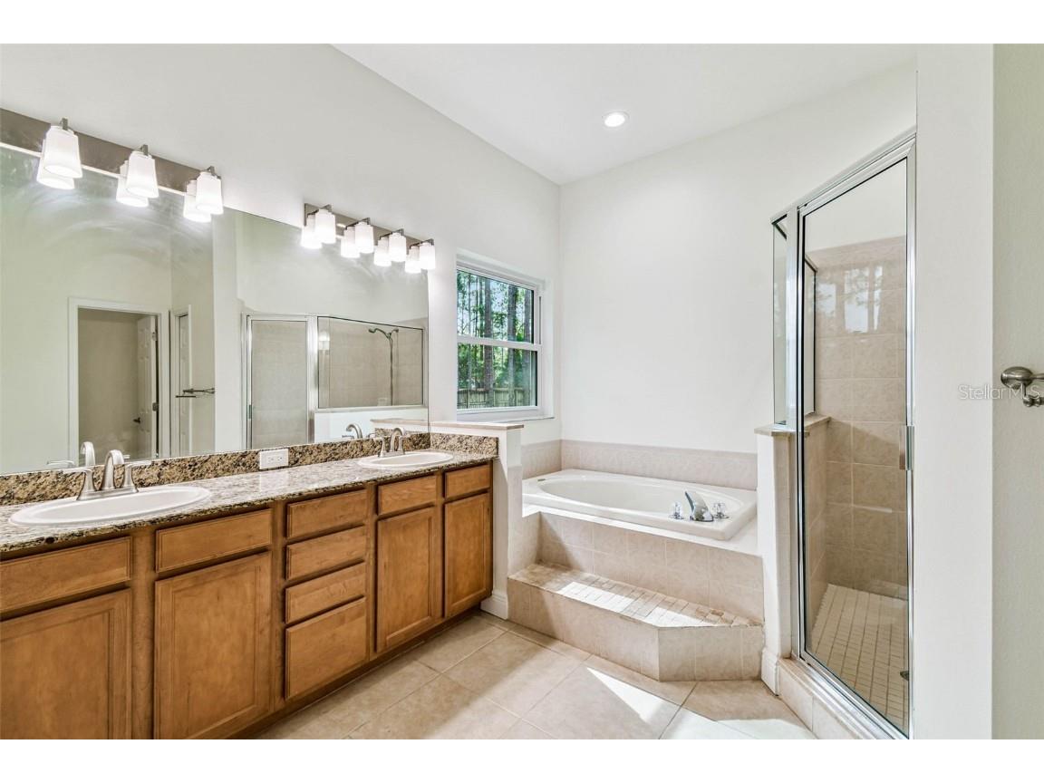 18811 Victor Manuel Drive Lutz FL 33548 TB8429489 image33