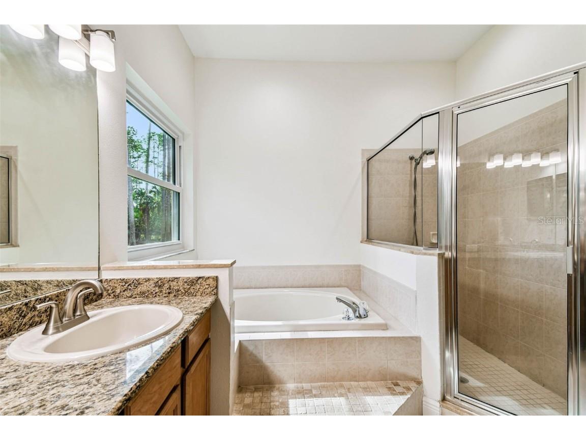 18811 Victor Manuel Drive Lutz FL 33548 TB8429489 image34