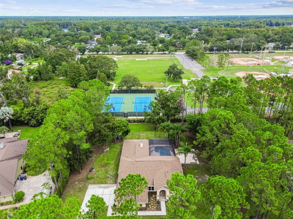 18811 Victor Manuel Drive Lutz FL 33548 TB8429489 image71