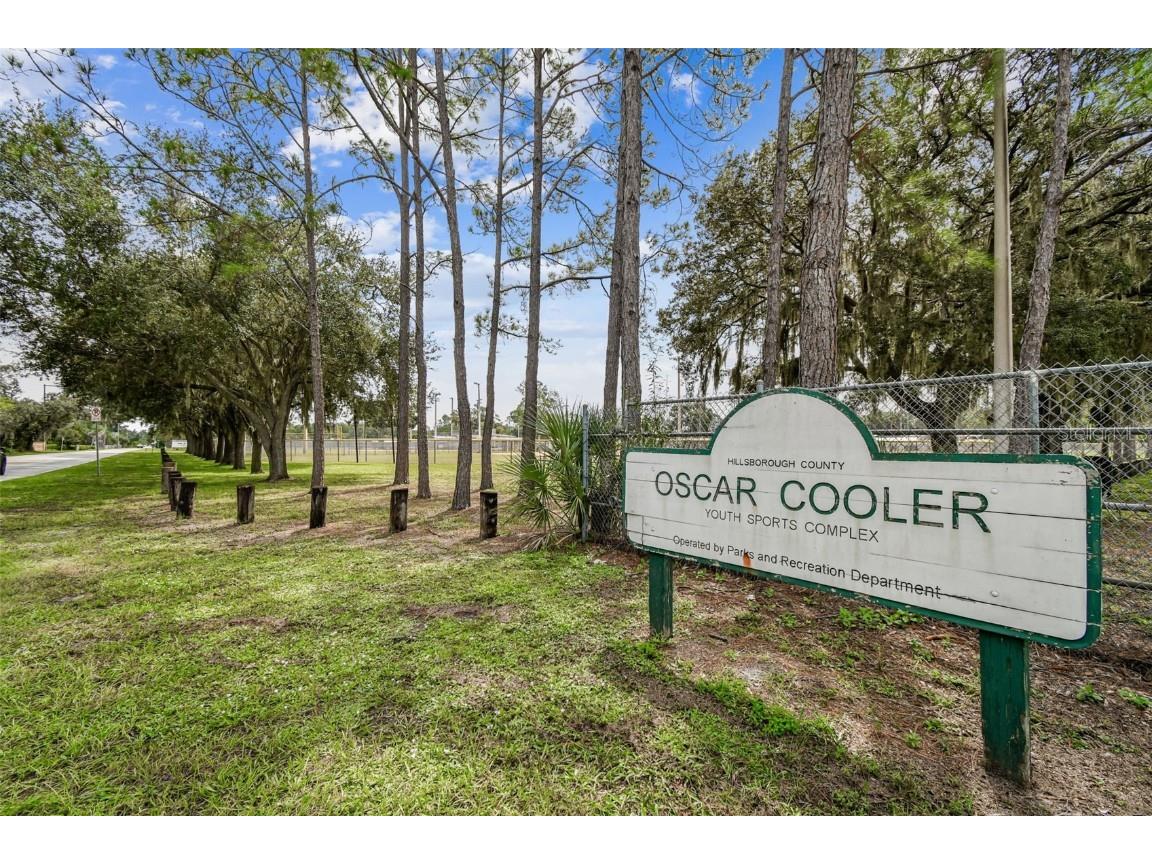 18811 Victor Manuel Drive Lutz FL 33548 TB8429489 image76