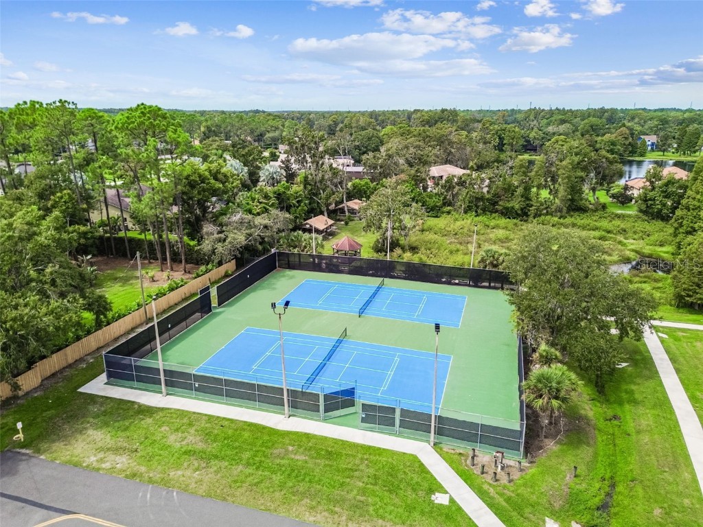 18811 Victor Manuel Drive Lutz FL 33548 TB8429489 image77