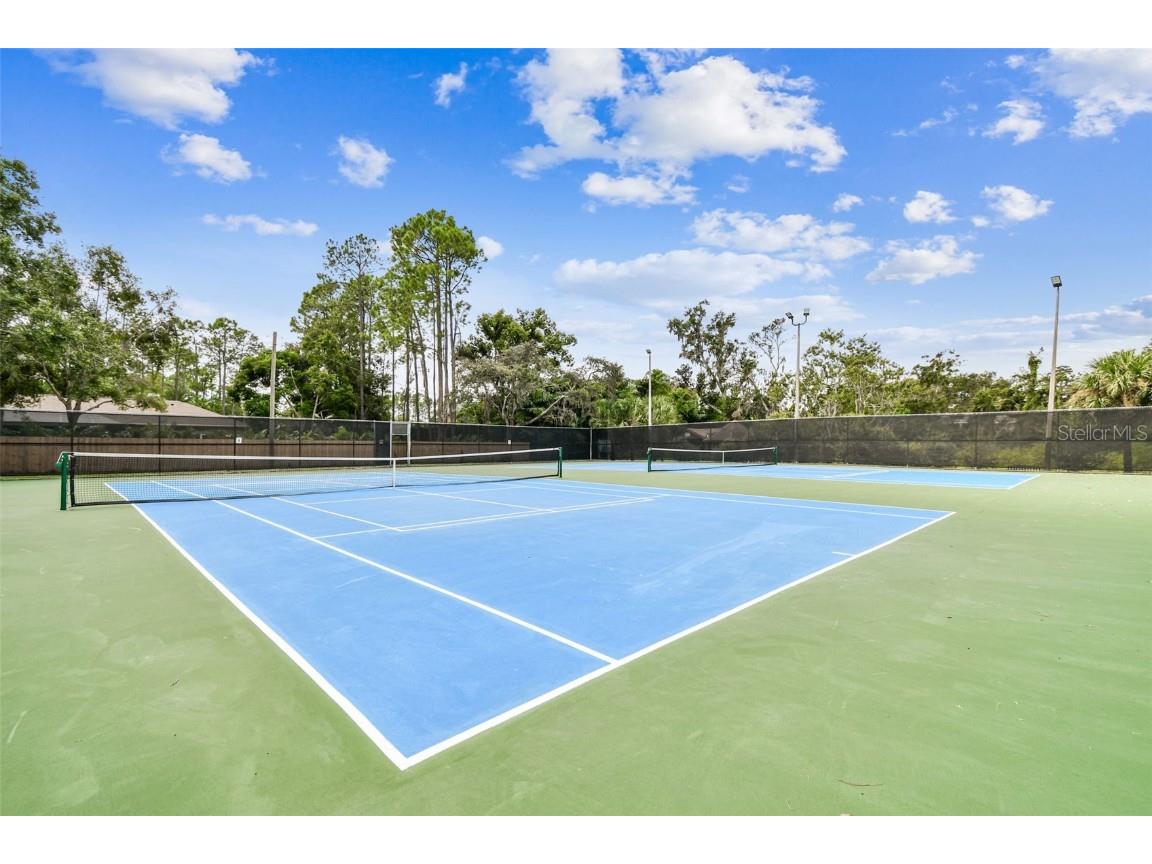 18811 Victor Manuel Drive Lutz FL 33548 TB8429489 image78