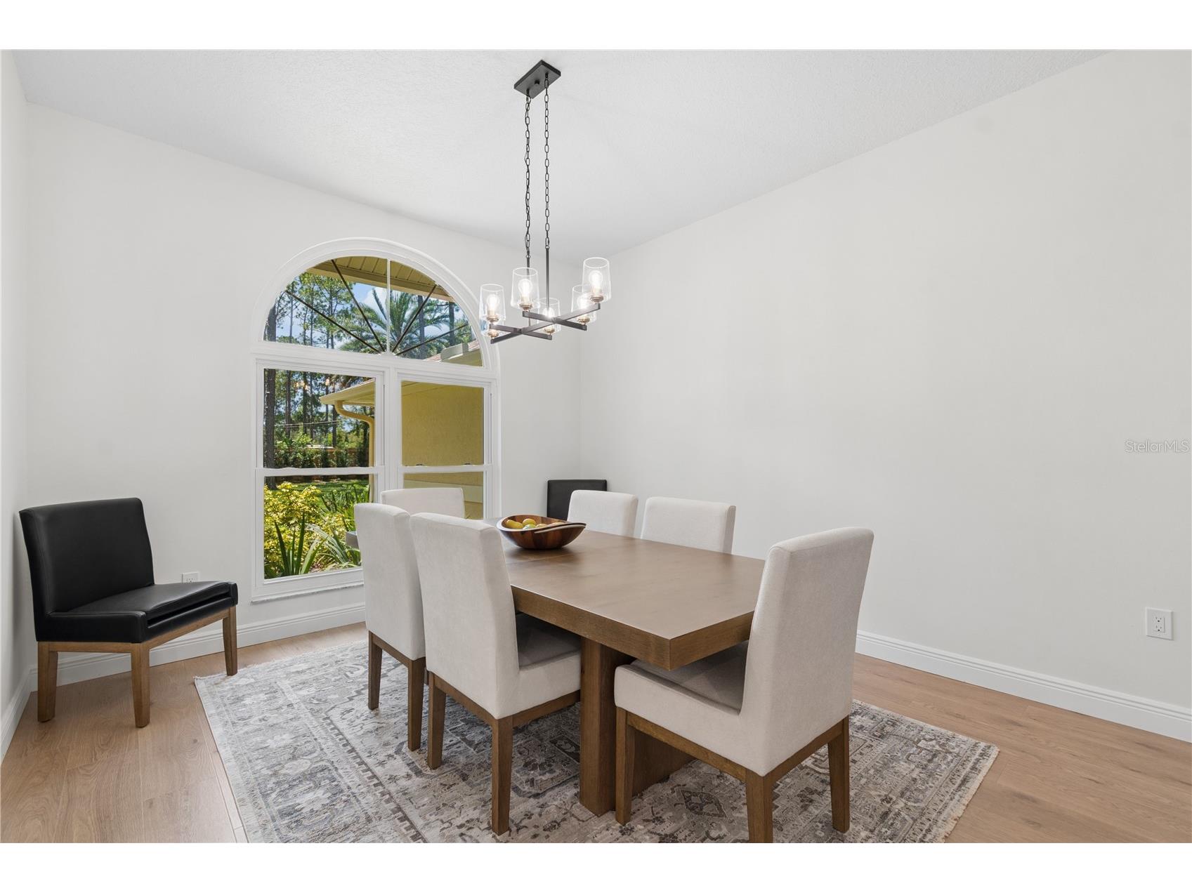 18811 Victor Manuel Drive Lutz FL 33548 TB8532307 image19