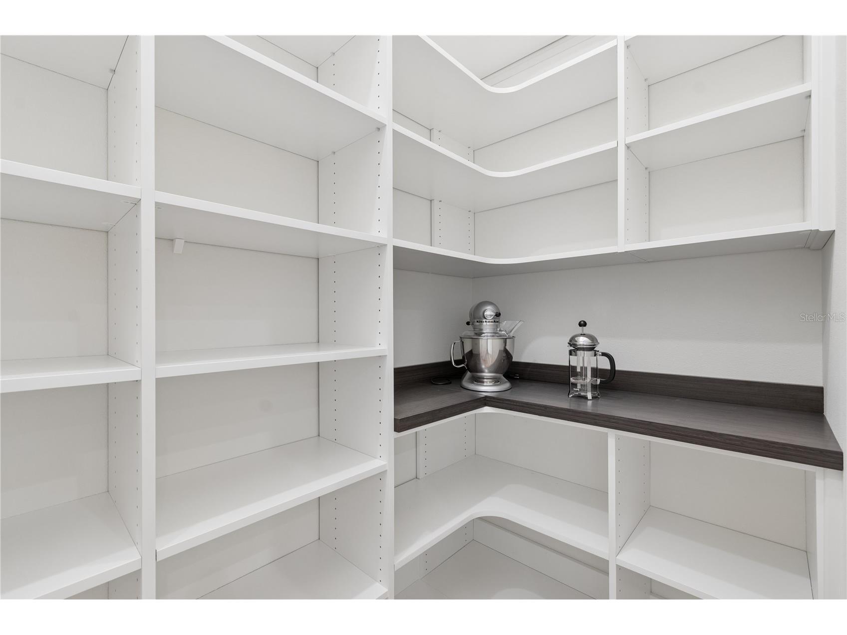 18811 Victor Manuel Drive Lutz FL 33548 TB8532307 image27