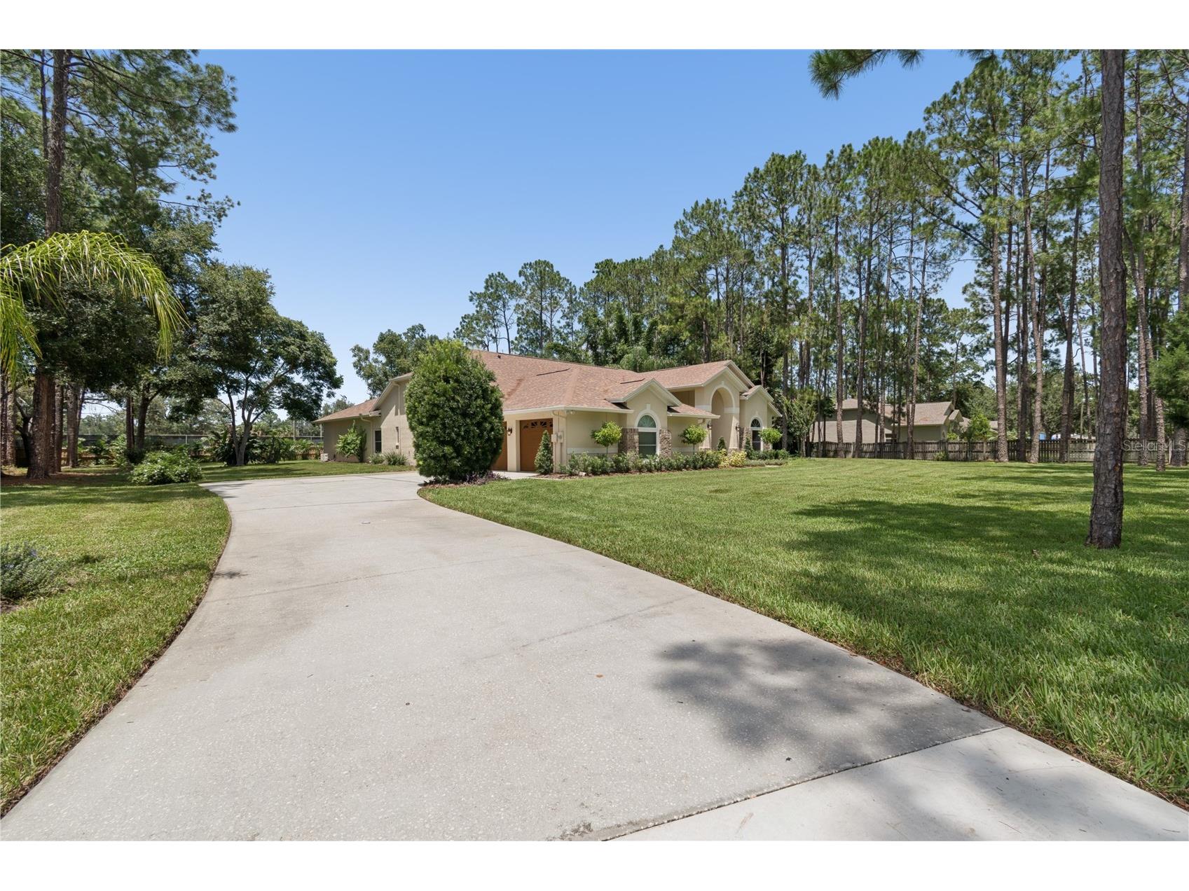 18811 Victor Manuel Drive Lutz FL 33548 TB8532307 image3