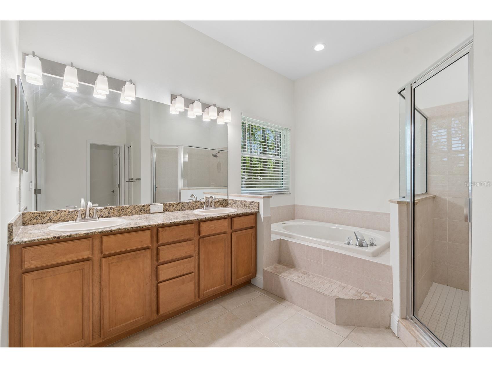 18811 Victor Manuel Drive Lutz FL 33548 TB8532307 image50