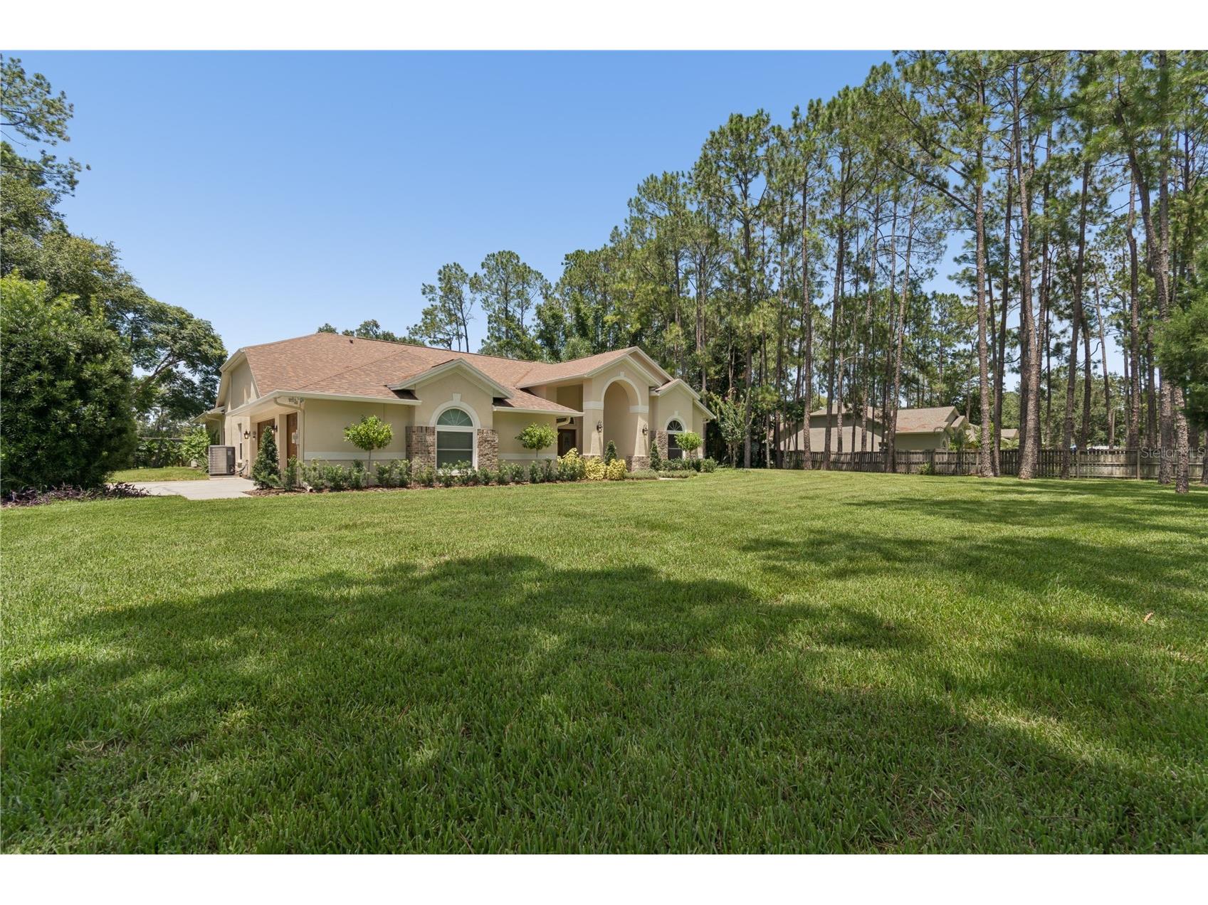18811 Victor Manuel Drive Lutz FL 33548 TB8532307 image6