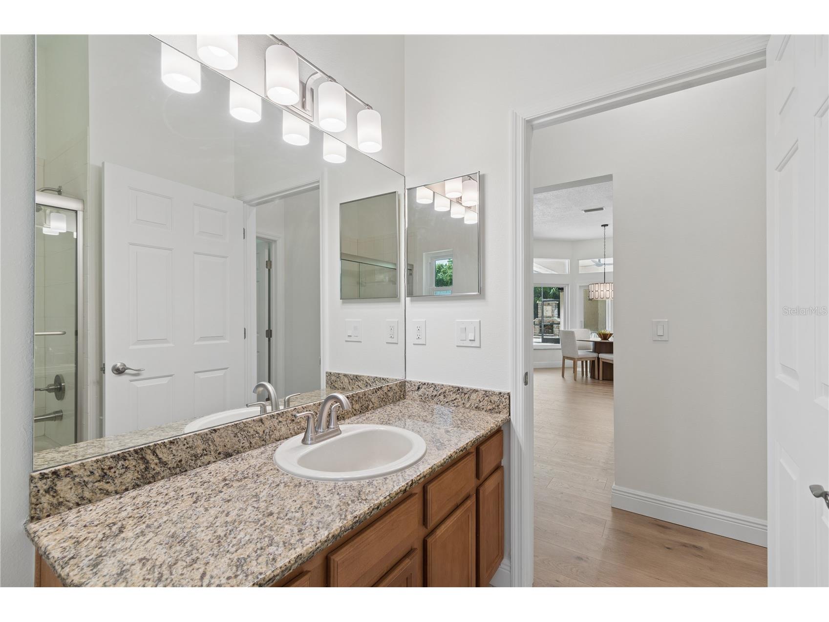 18811 Victor Manuel Drive Lutz FL 33548 TB8532307 image67