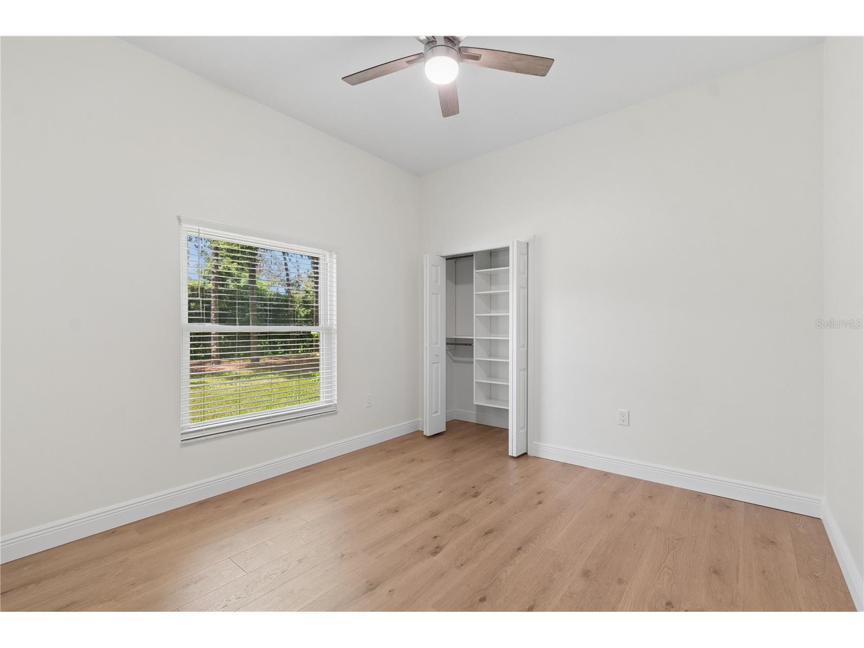 18811 Victor Manuel Drive Lutz FL 33548 TB8532307 image69