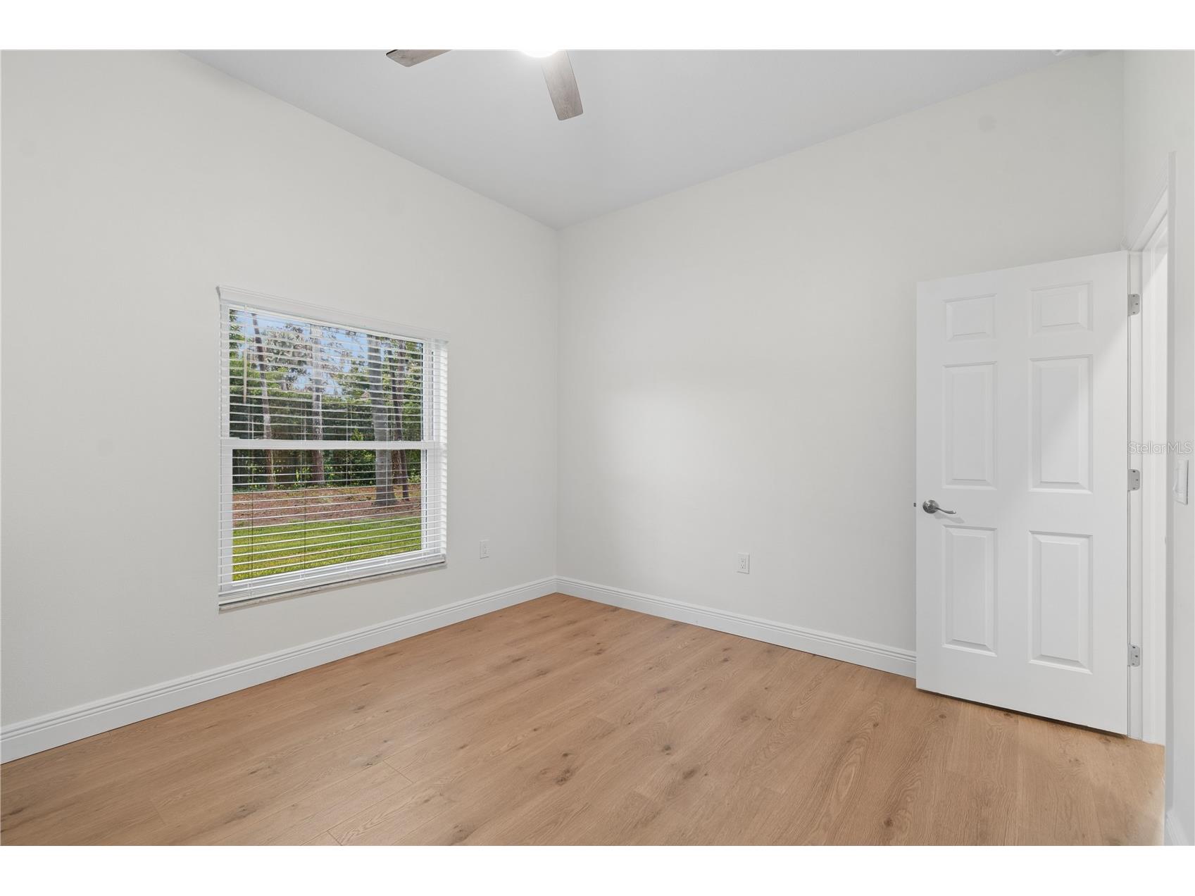 18811 Victor Manuel Drive Lutz FL 33548 TB8532307 image74