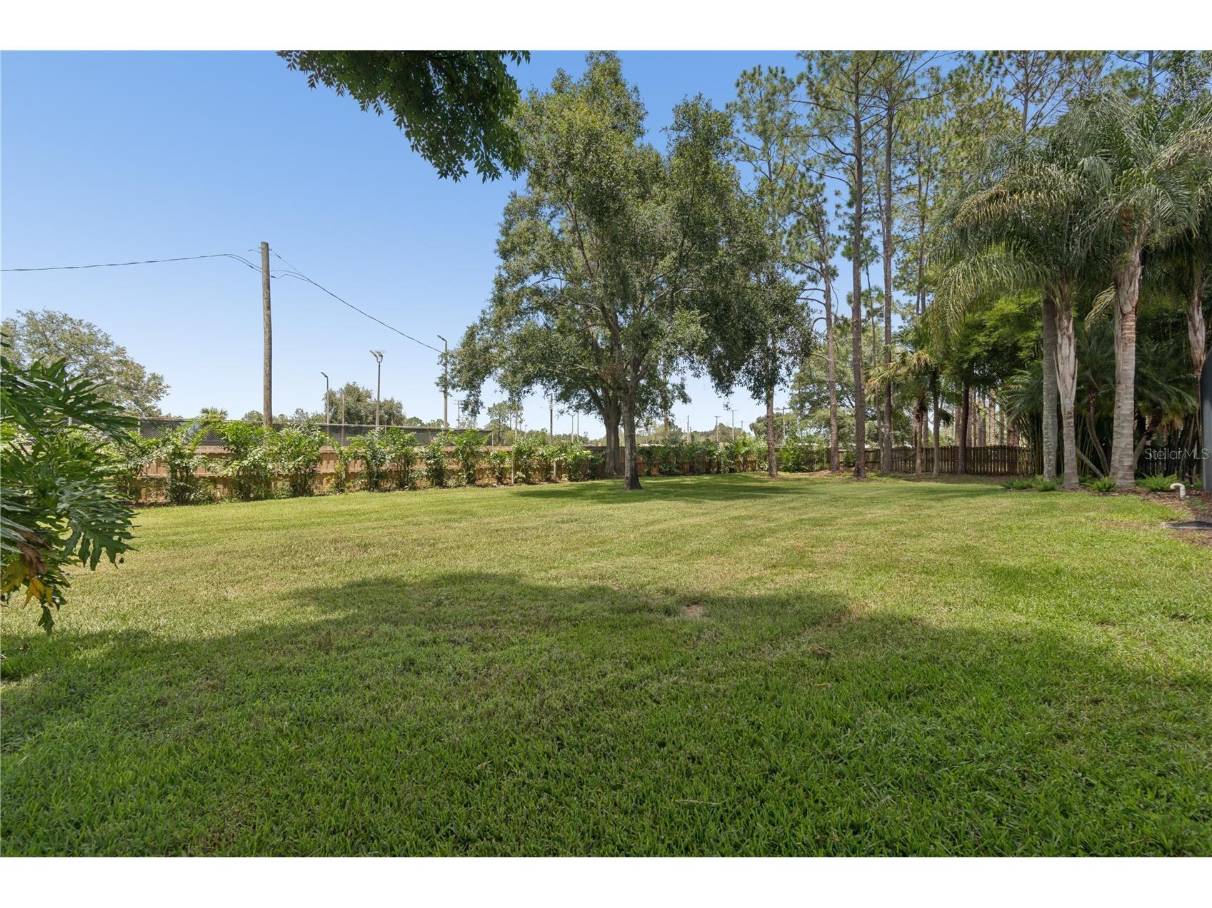 18811 Victor Manuel Drive Lutz FL 33548 TB8532307 image80