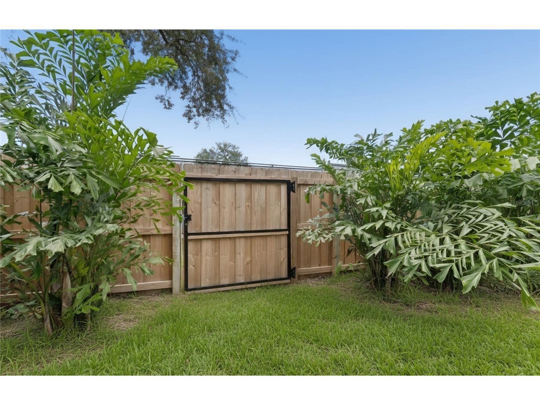 18811 Victor Manuel Drive Lutz FL 33548 TB8532307 image81
